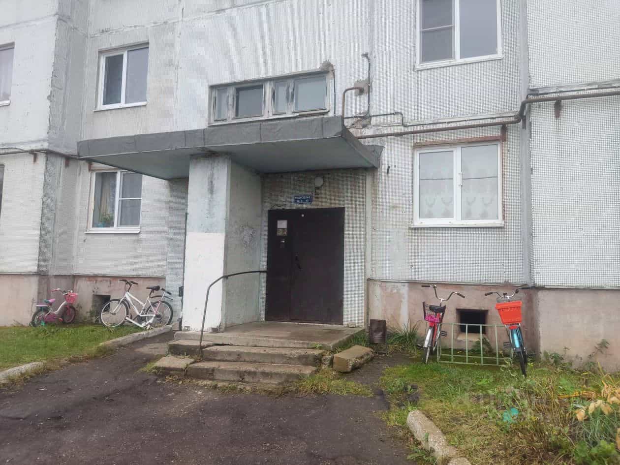 Россия, Новгородский муниципальный округ, Борковское сельское поселение, деревня Борки, Борковский переулок, 1