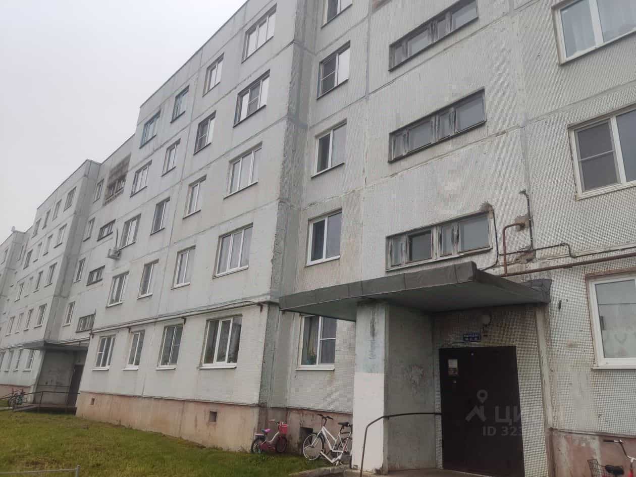 Россия, Новгородский муниципальный округ, Борковское сельское поселение, деревня Борки, Борковский переулок, 1, фото 2