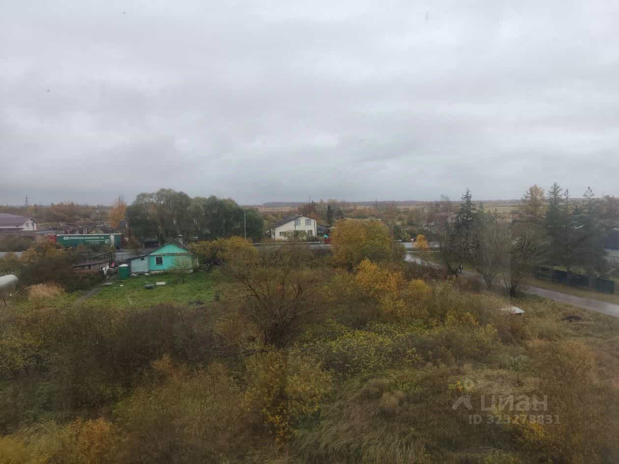 Россия, Новгородский муниципальный округ, Борковское сельское поселение, деревня Борки, Борковский переулок, 1, фото 19
