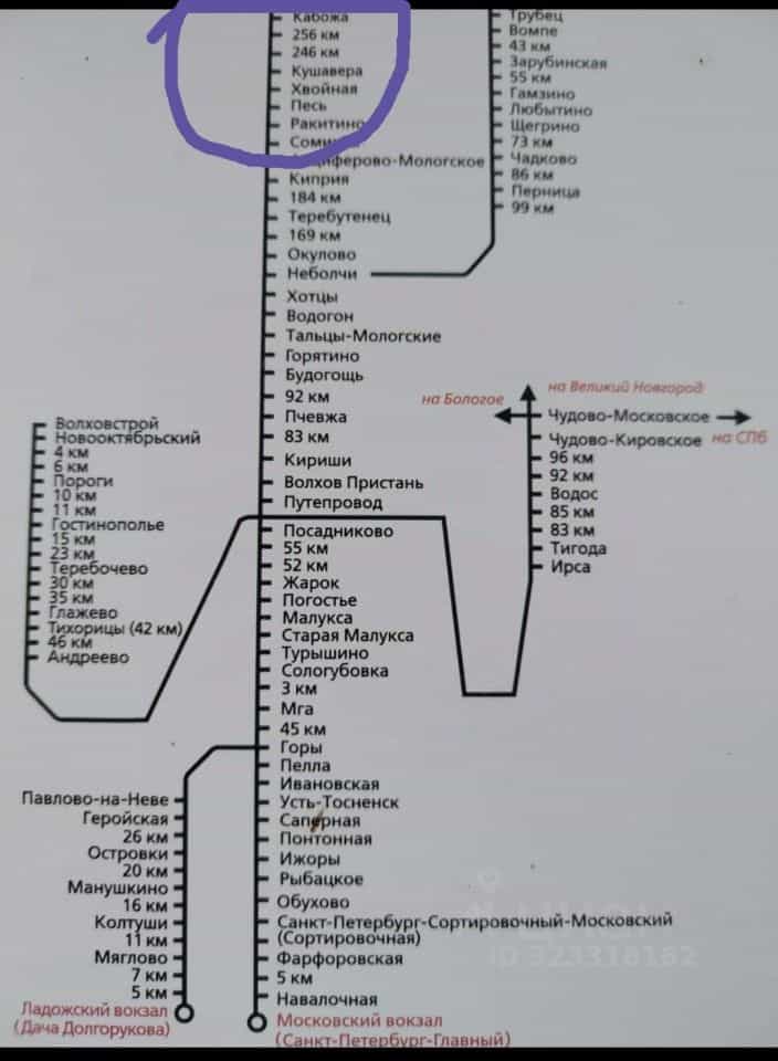 Россия, Новгородская область, Хвойнинский муниципальный округ, посёлок при станции Кабожа, Вокзальная улица, 23, фото 8