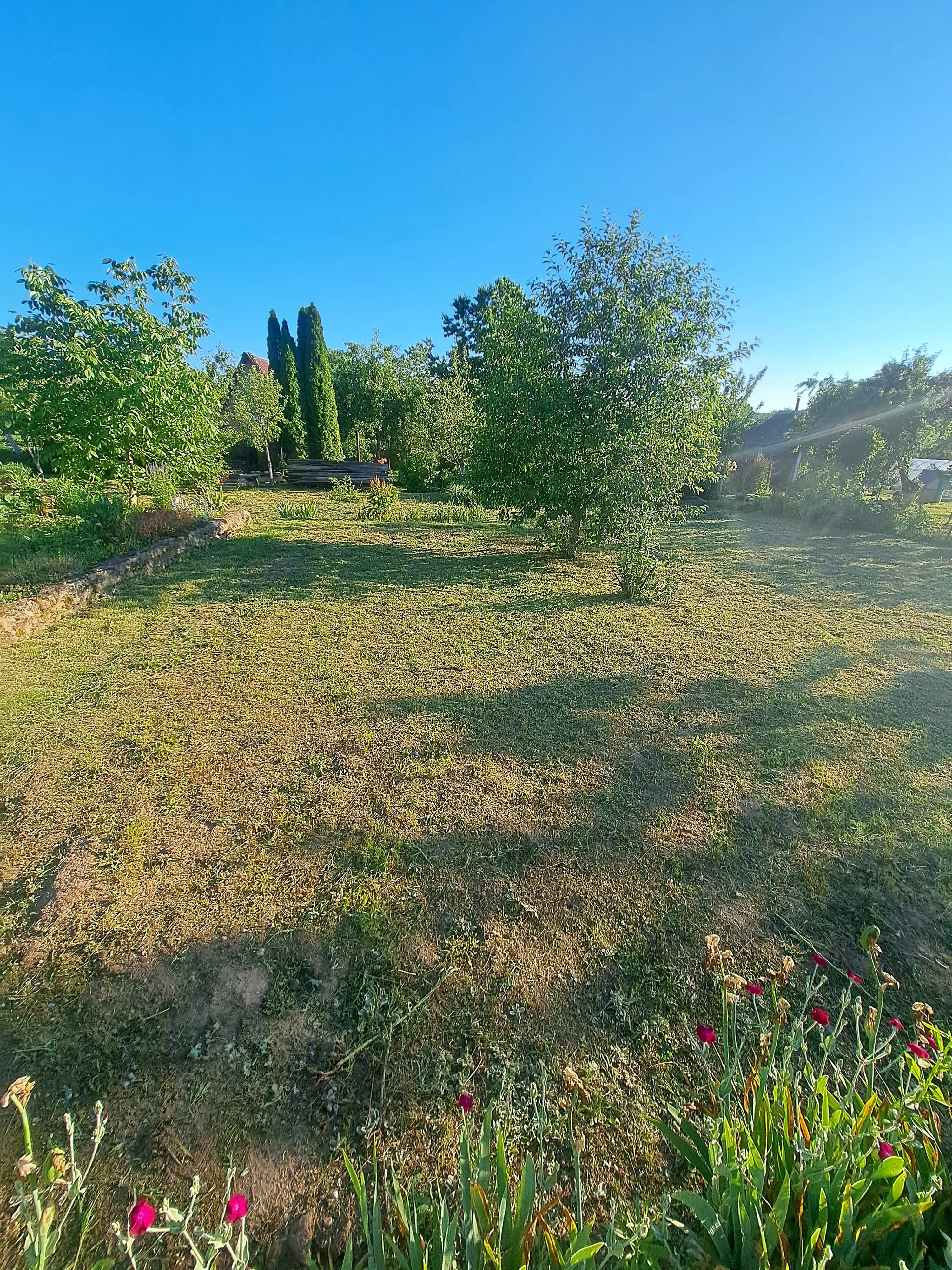 Беларусь, Гродненский район, Квасовский сельсовет, СТ Вишнёвка, 126, фото 2