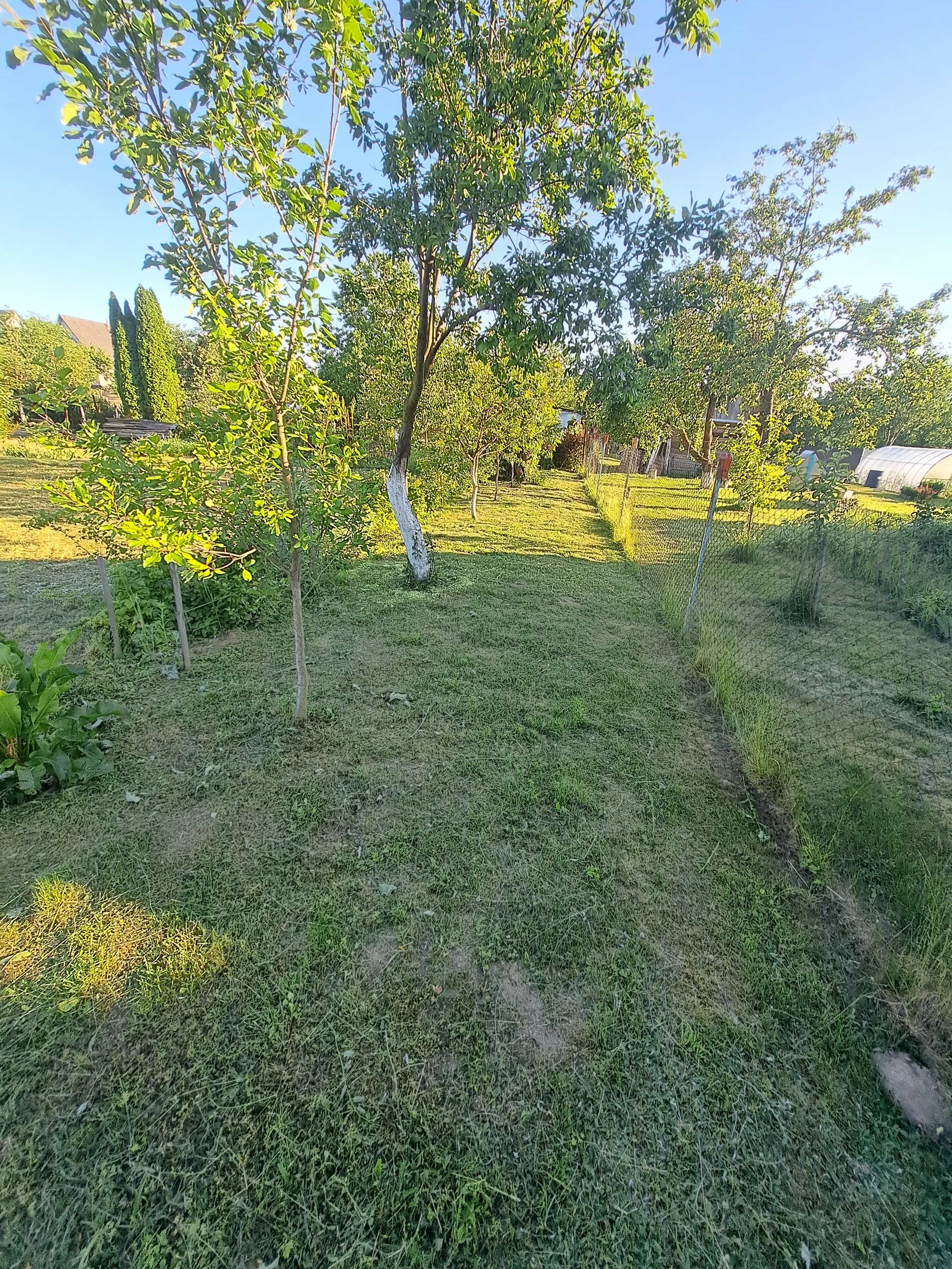 Беларусь, Гродненский район, Квасовский сельсовет, СТ Вишнёвка, 126, фото 3