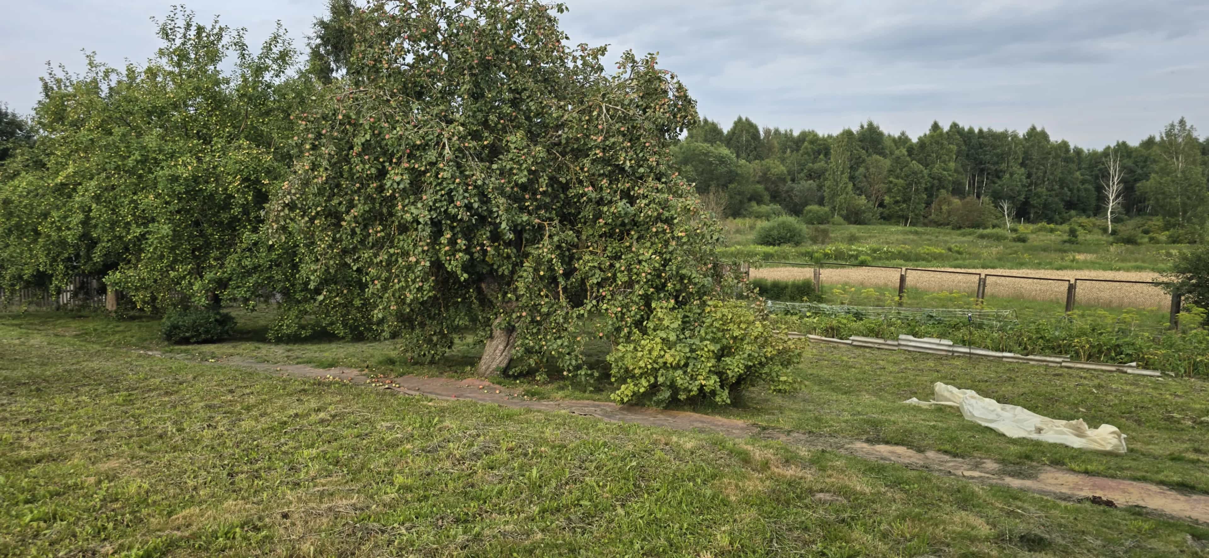 Беларусь, Минская область, Логойский сельсовет, агрогородок Косино, Школьная улица, 3А, фото 4