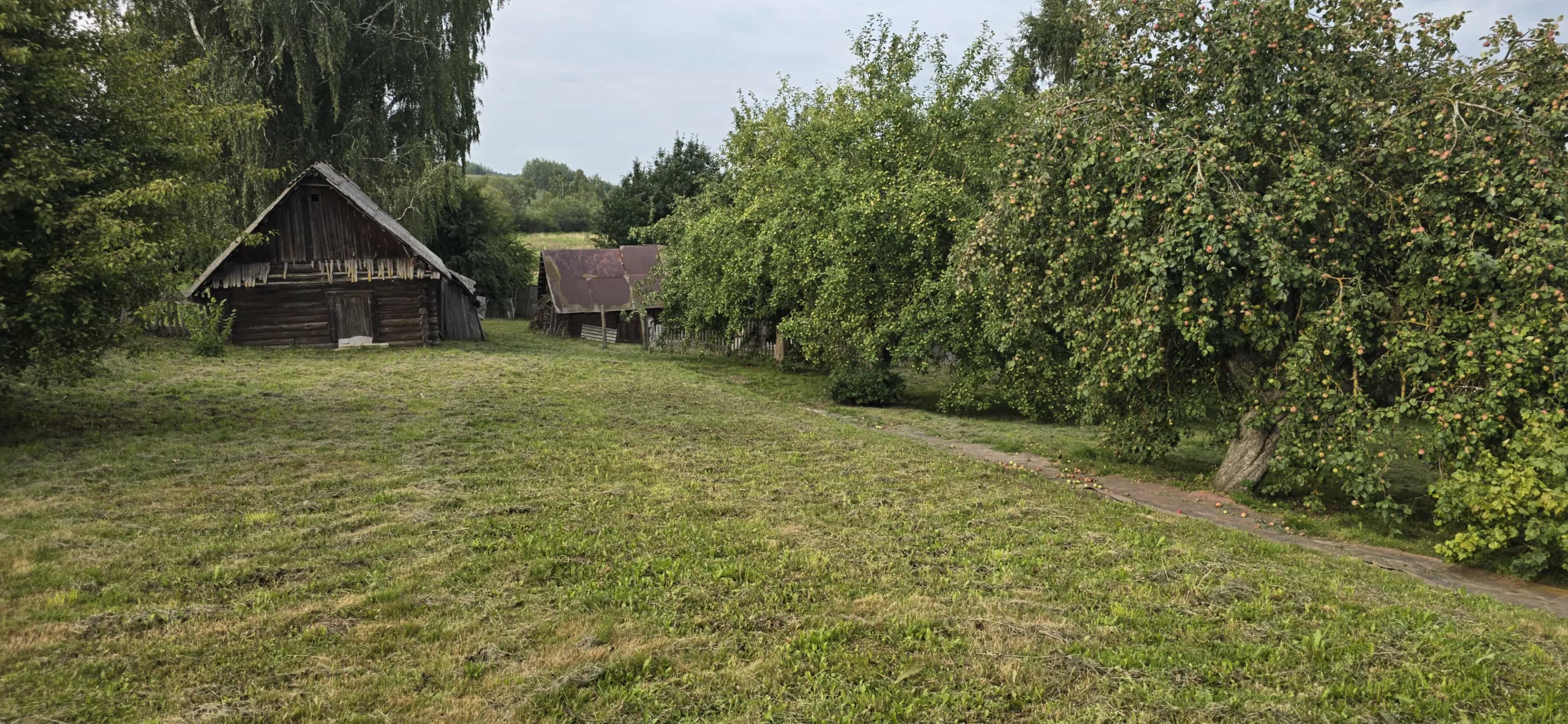 Беларусь, Минская область, Логойский сельсовет, агрогородок Косино, Школьная улица, 3А, фото 7