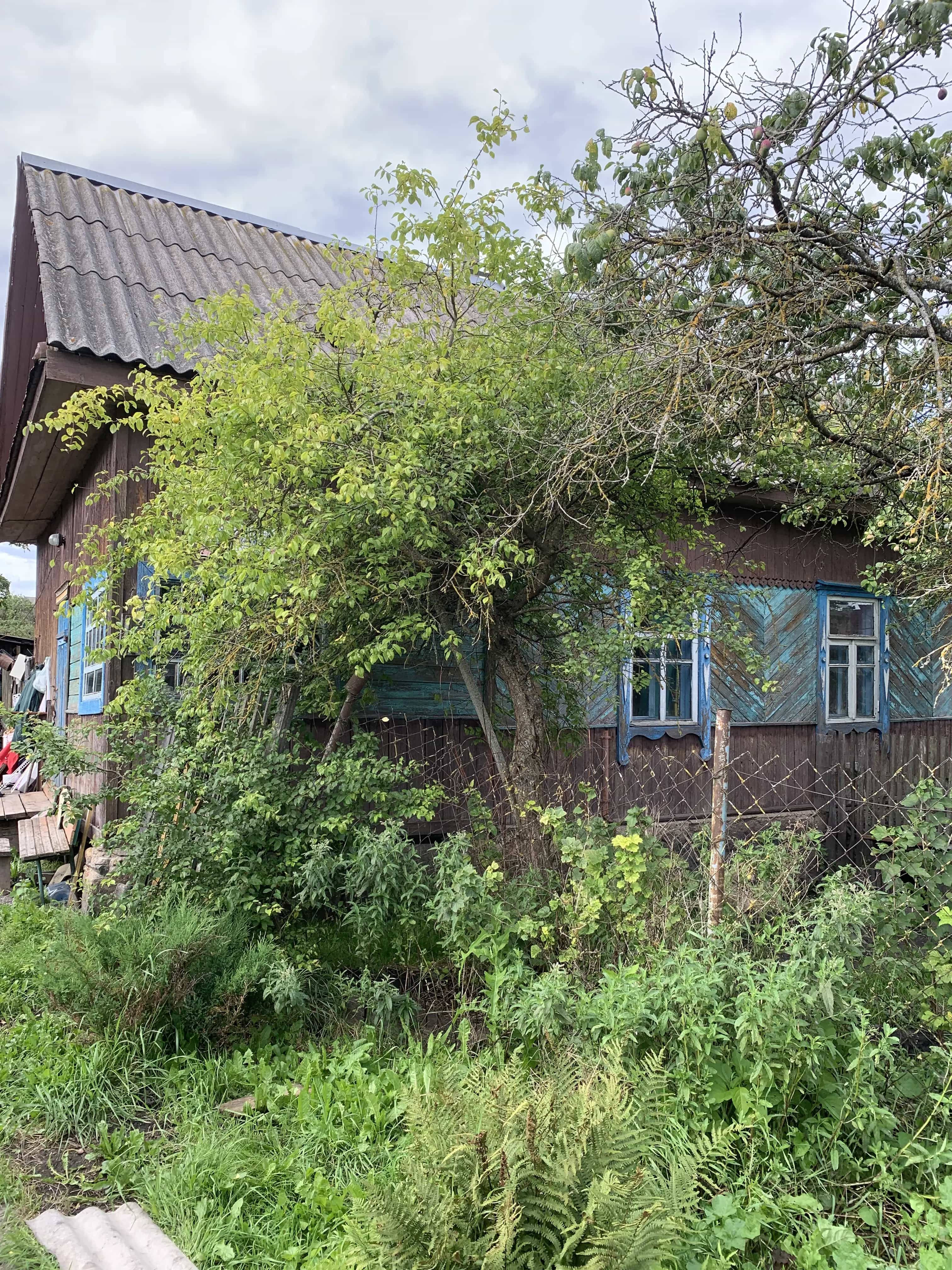 Беларусь, Витебская область, Оршанский район, агрогородок Заболотье, Заречная улица, 4, фото 2