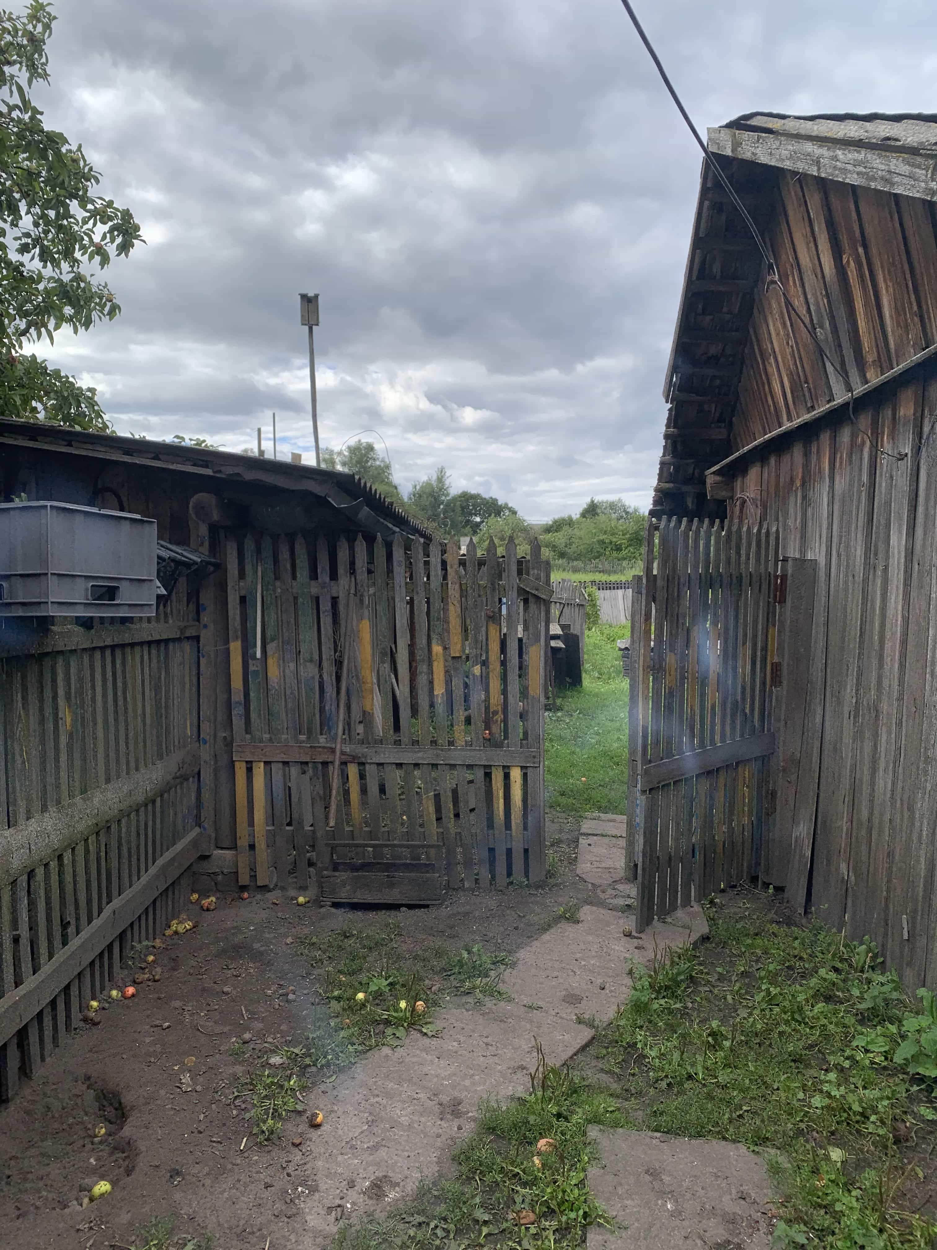Беларусь, Витебская область, Оршанский район, агрогородок Заболотье, Заречная улица, 4, фото 13
