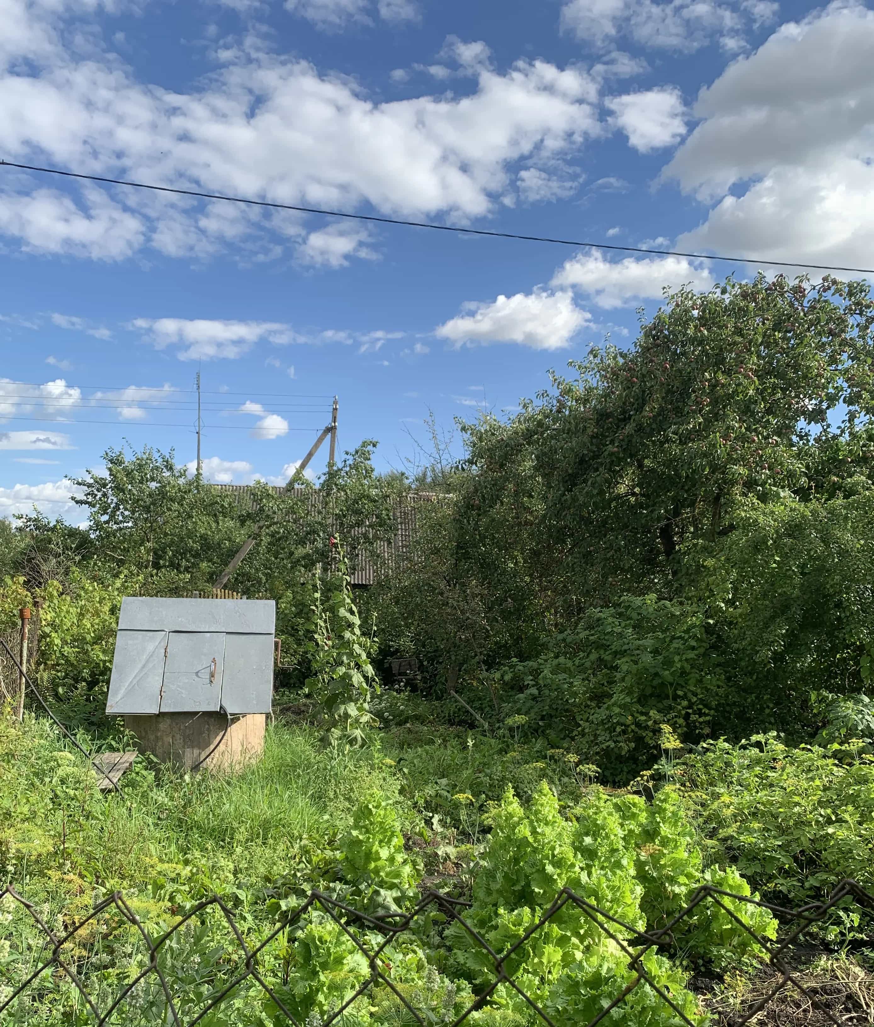 Беларусь, Витебская область, Оршанский район, агрогородок Заболотье, Заречная улица, 4, фото 18