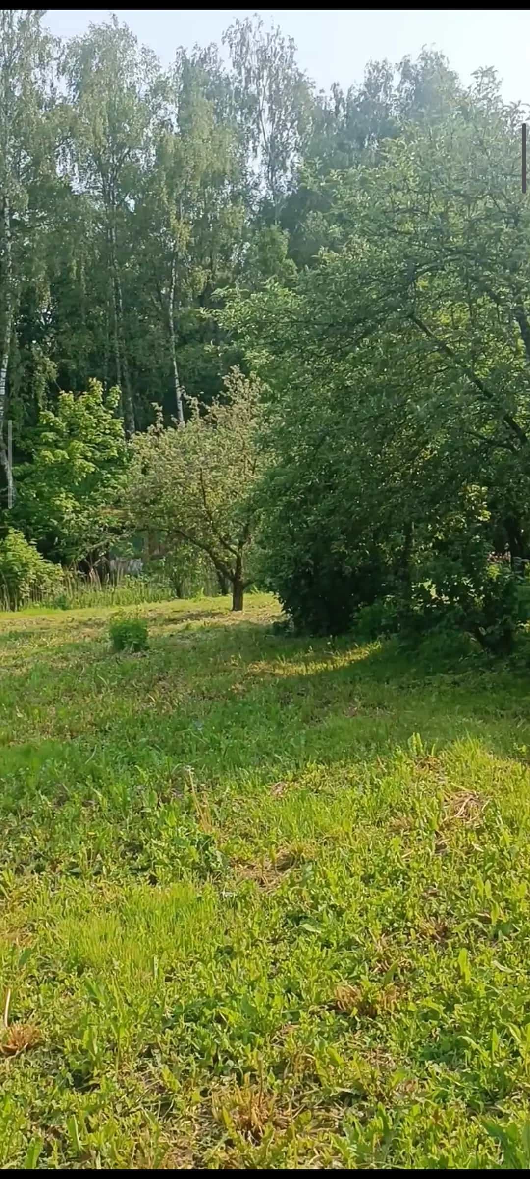 Беларусь, Витебская область, Браславский район, агрогородок Ахремовцы, Новая улица, 1, фото 22