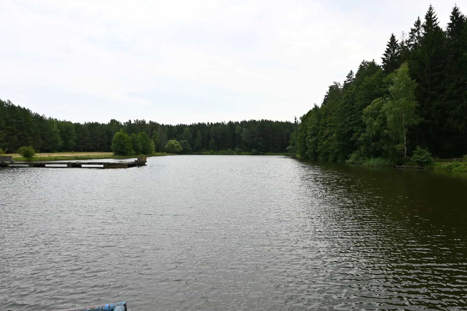 Беларусь, Минский район, Горанский сельсовет, СТ Родник-2009, 33, фото 44