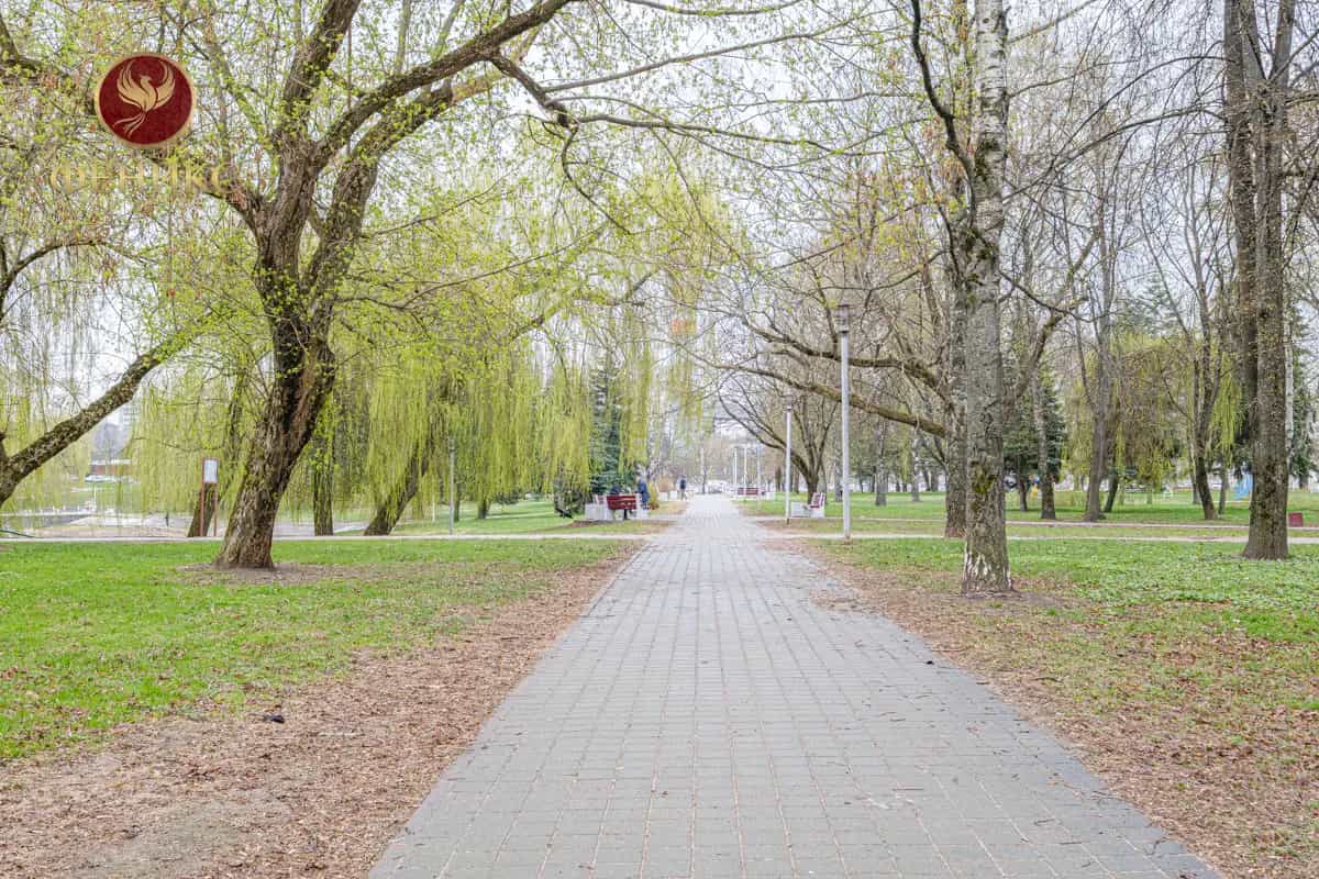 Беларусь, Минск, улица Болеслава Берута, 17к1, фото 23