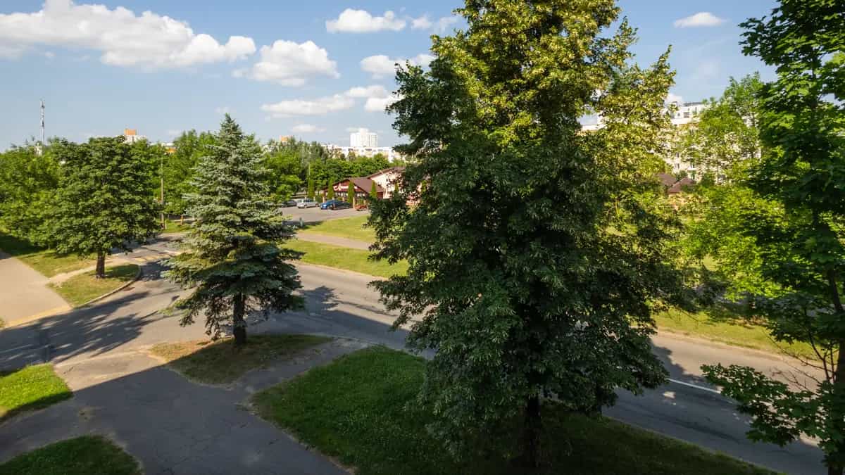 Беларусь, Минск, улица Авиации, 9, фото 14