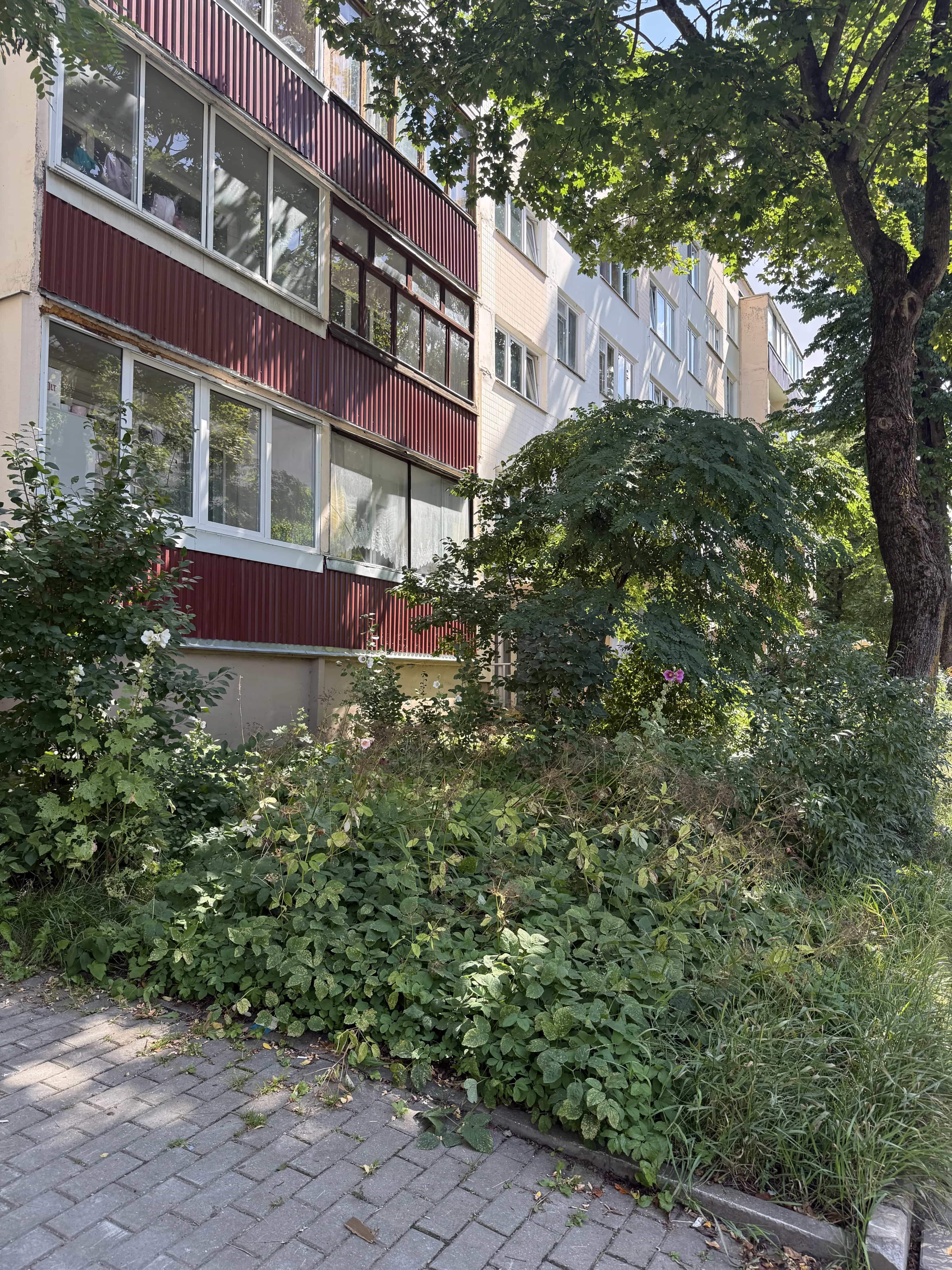 Беларусь, Минск, улица Жудро, 11, фото 25