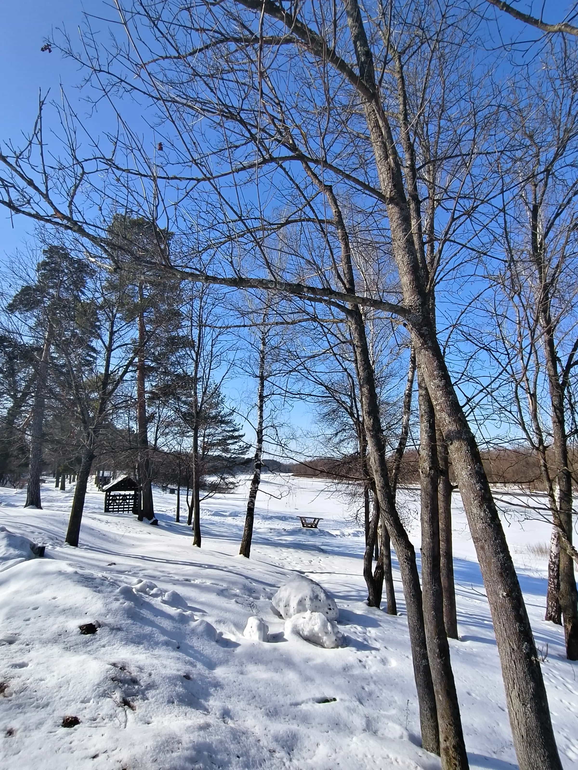 Беларусь, Гомельский район, Чёнковский сельсовет, посёлок Чёнки, Лесная улица, 13, фото 13
