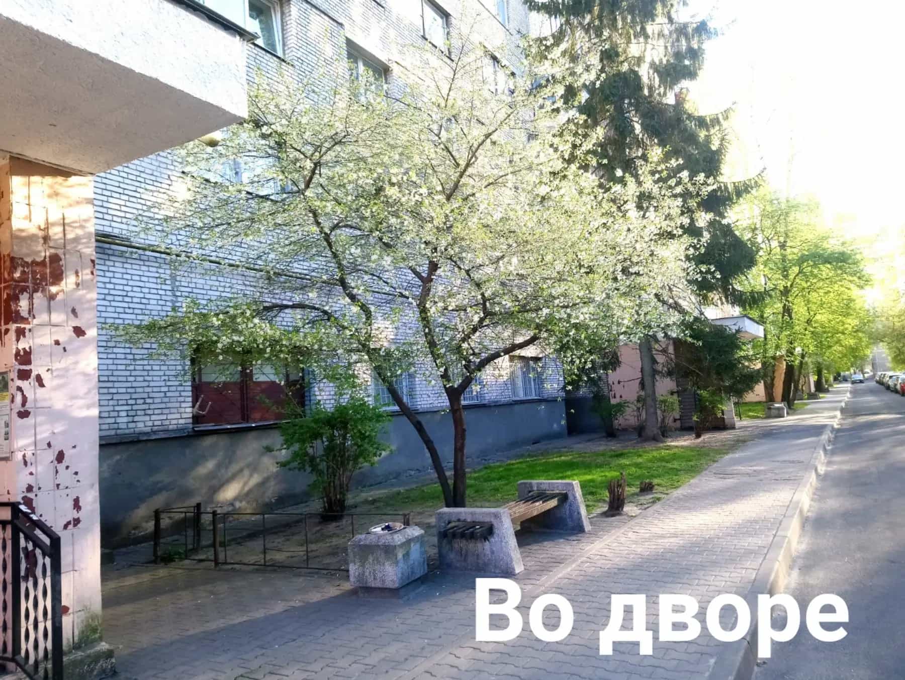 Беларусь, Брест, Московская улица, 340, фото 5