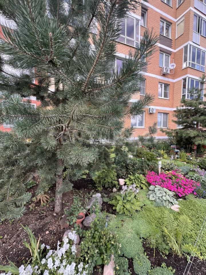 Россия, Москва, Новомосковский административный округ, Щербинка, улица Барышевская Роща, 12