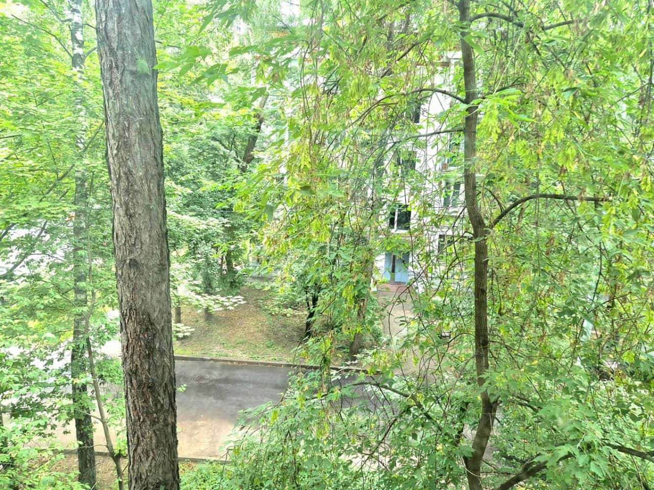 Россия, Москва, Малая Ботаническая улица, 13, фото 14