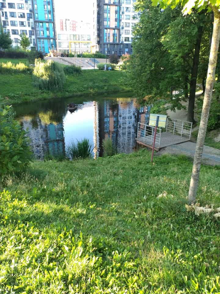 Россия, Москва, Новомосковский административный округ, район Коммунарка, Скандинавский бульвар, 8, фото 15