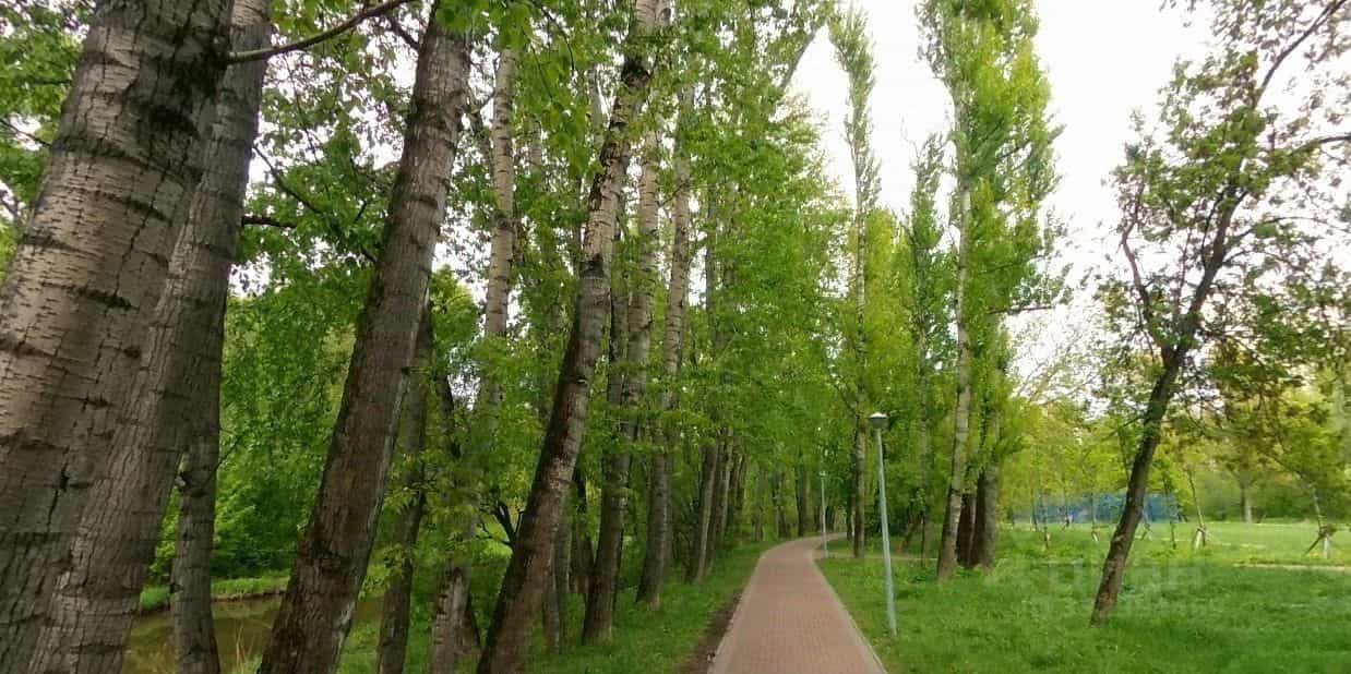 Россия, Москва, Полярная улица, 17к1, фото 10
