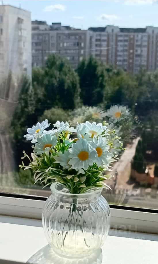 Россия, Москва, Талдомская улица, 17к2, фото 8