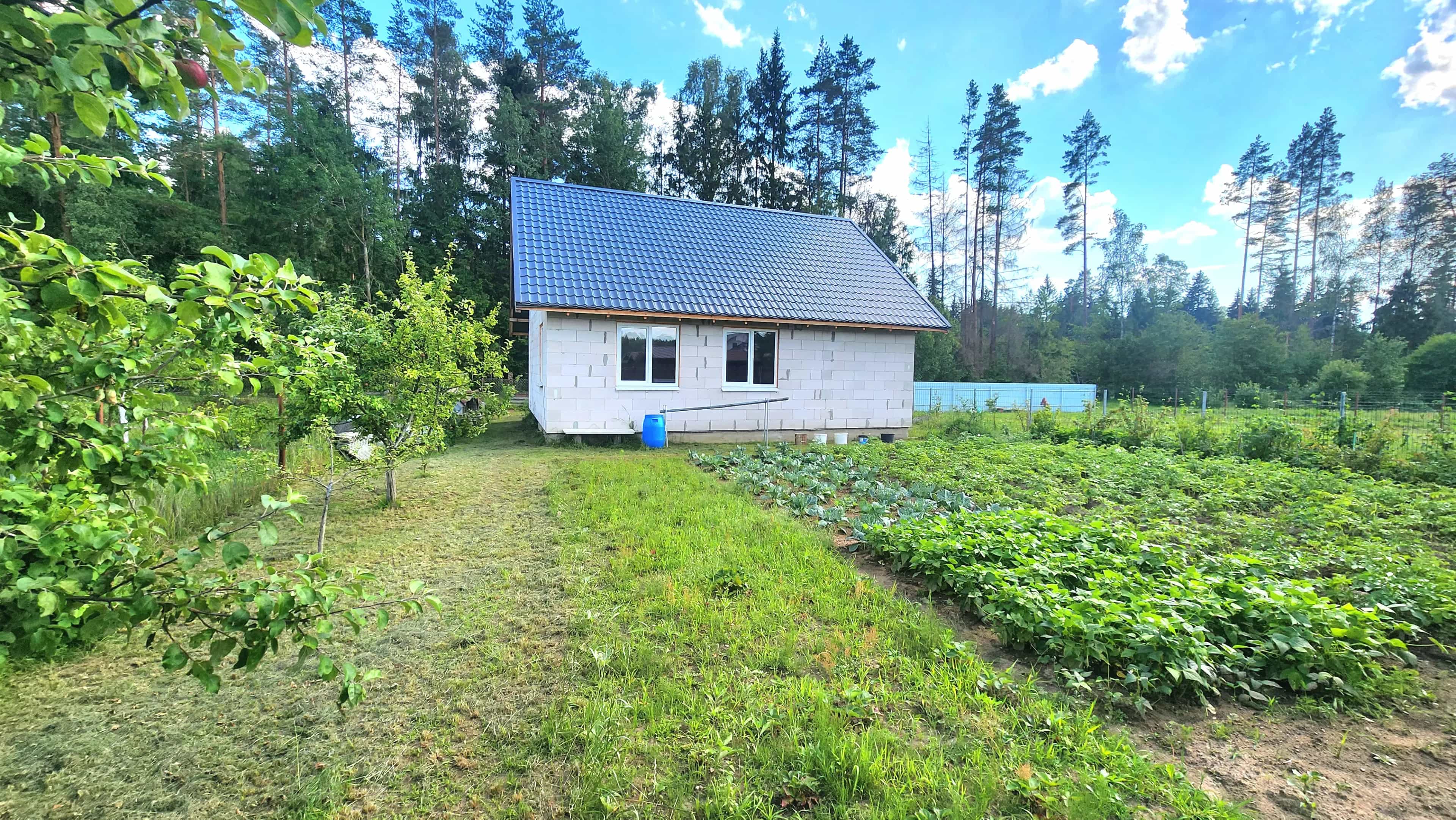 Беларусь, Минский район, Колодищанский сельсовет, СТ Голубой Факел, 134, фото 18