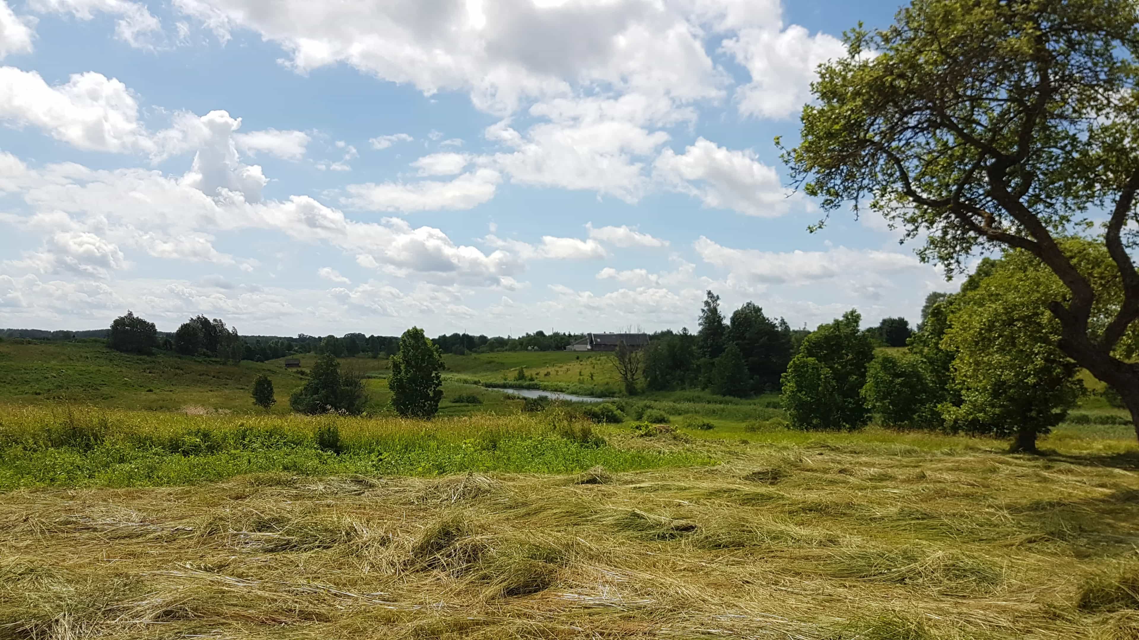 Беларусь, Витебская область, Браславский район, Слободковский сельсовет, деревня Гавриловцы, 60, фото 21