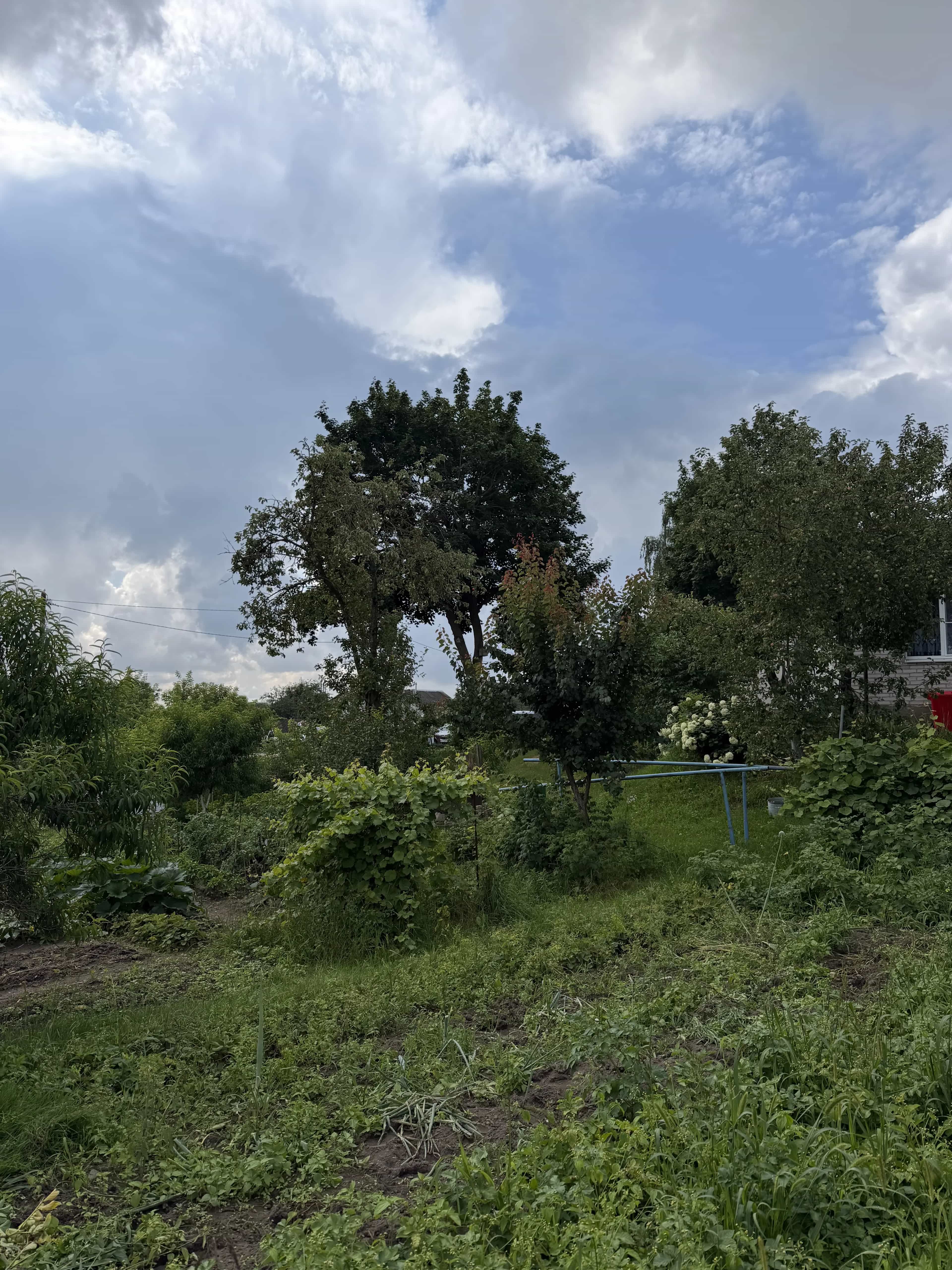 Беларусь, Гродненская область, Волковыск, улица Зои Космодемьянской, 34Б, фото 15