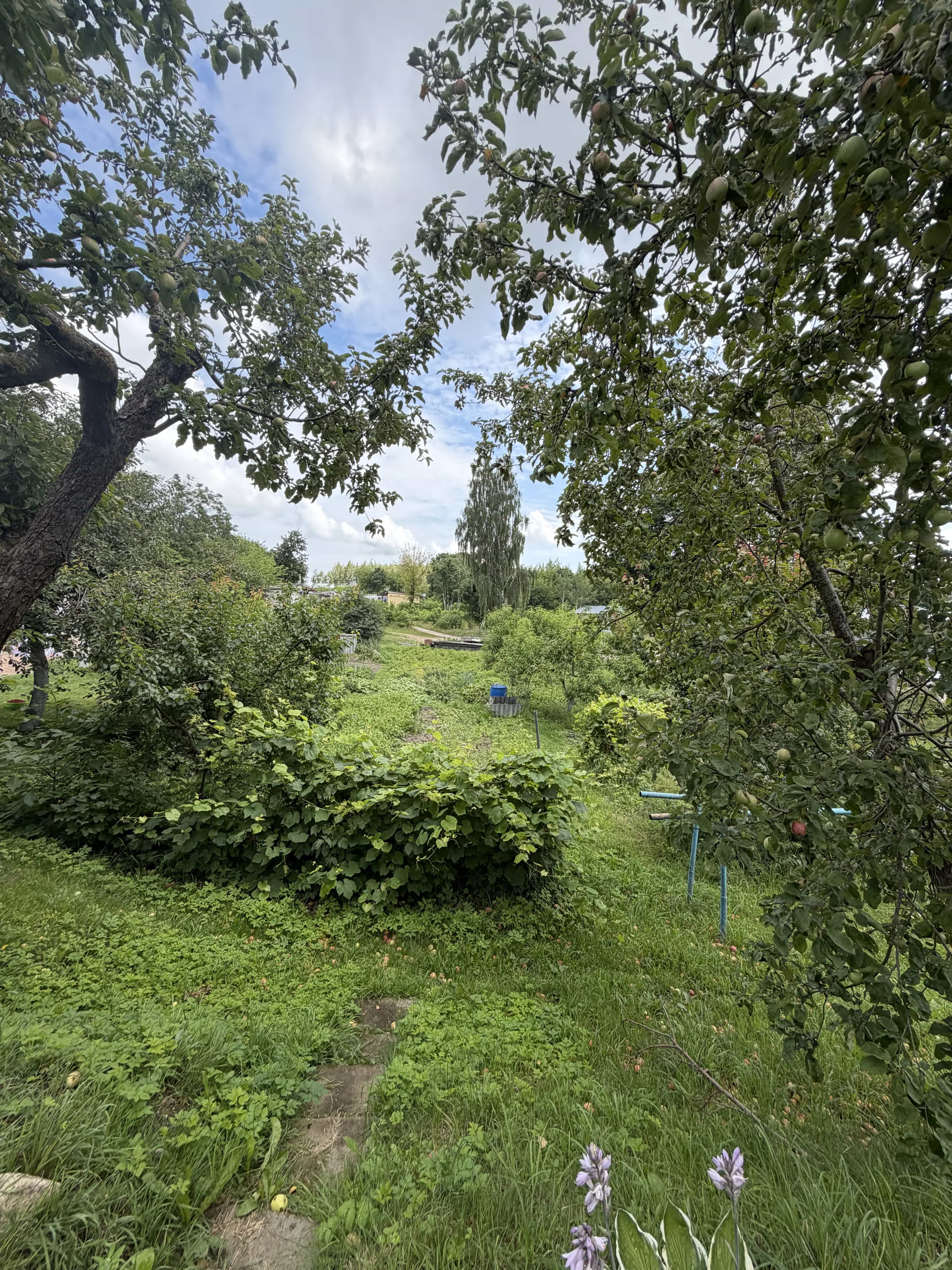 Беларусь, Гродненская область, Волковыск, улица Зои Космодемьянской, 34Б, фото 16