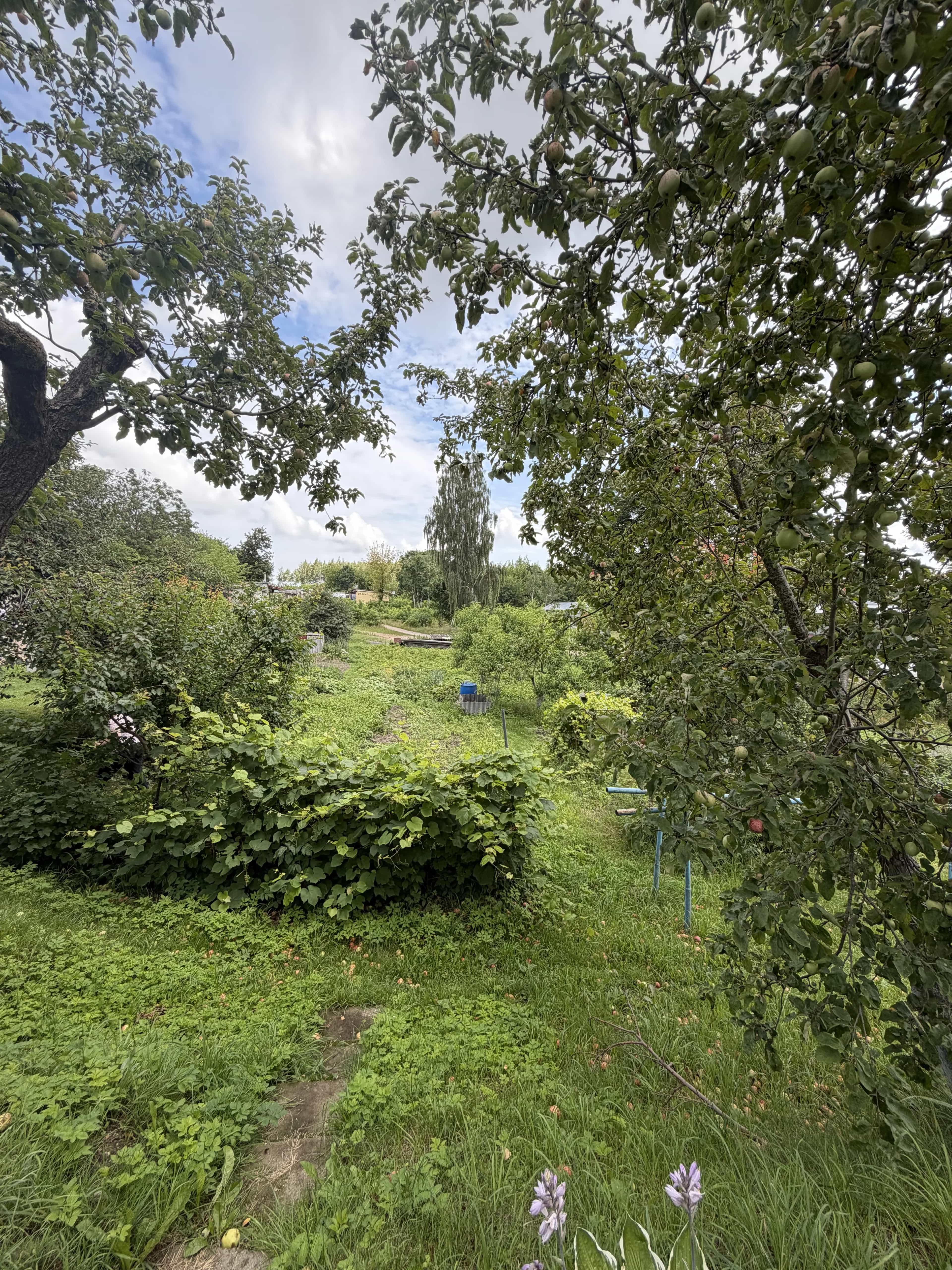 Беларусь, Гродненская область, Волковыск, улица Зои Космодемьянской, 34Б, фото 17