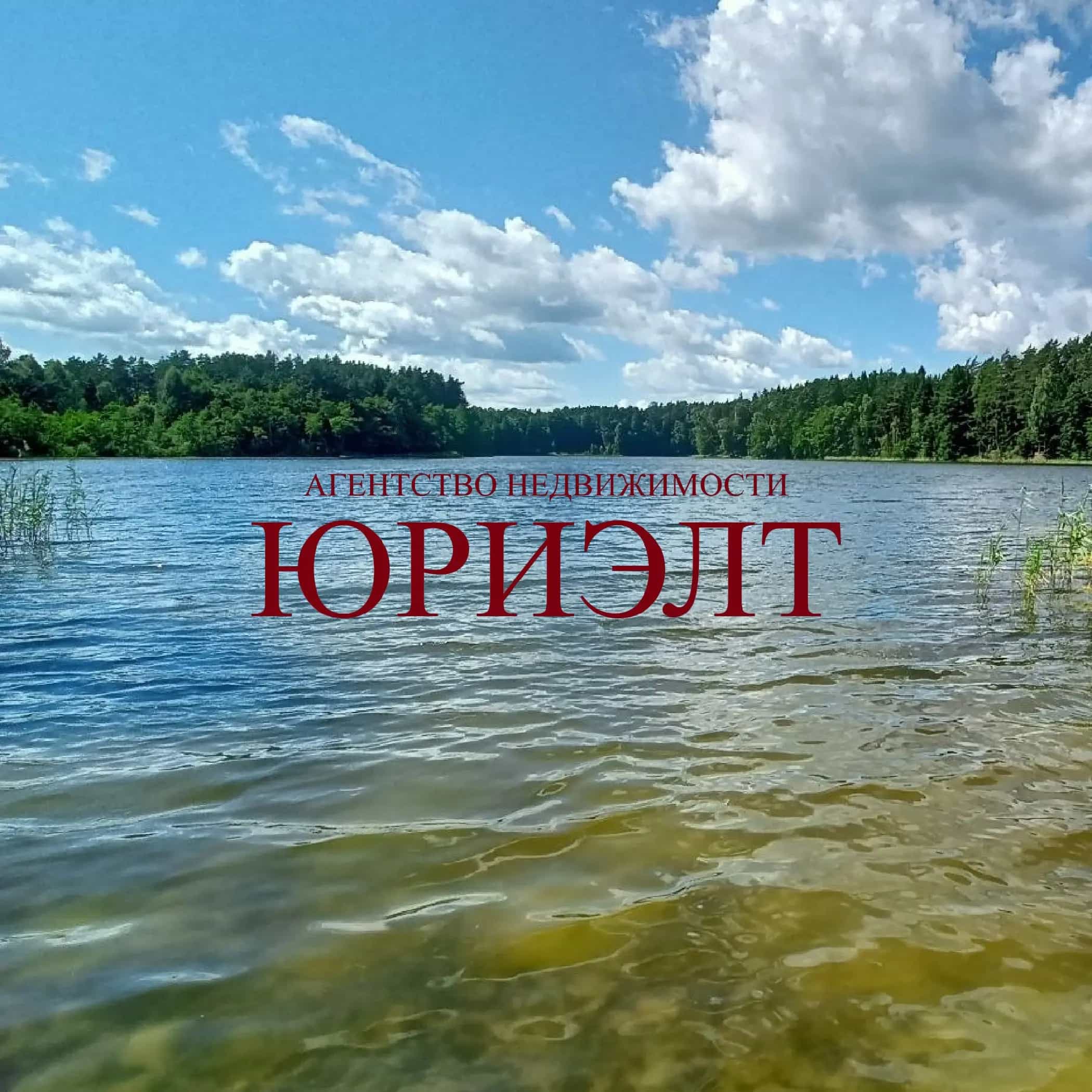 Беларусь, Витебский район, Летчанский сельсовет, СТ Вишнёвый Сад, 98