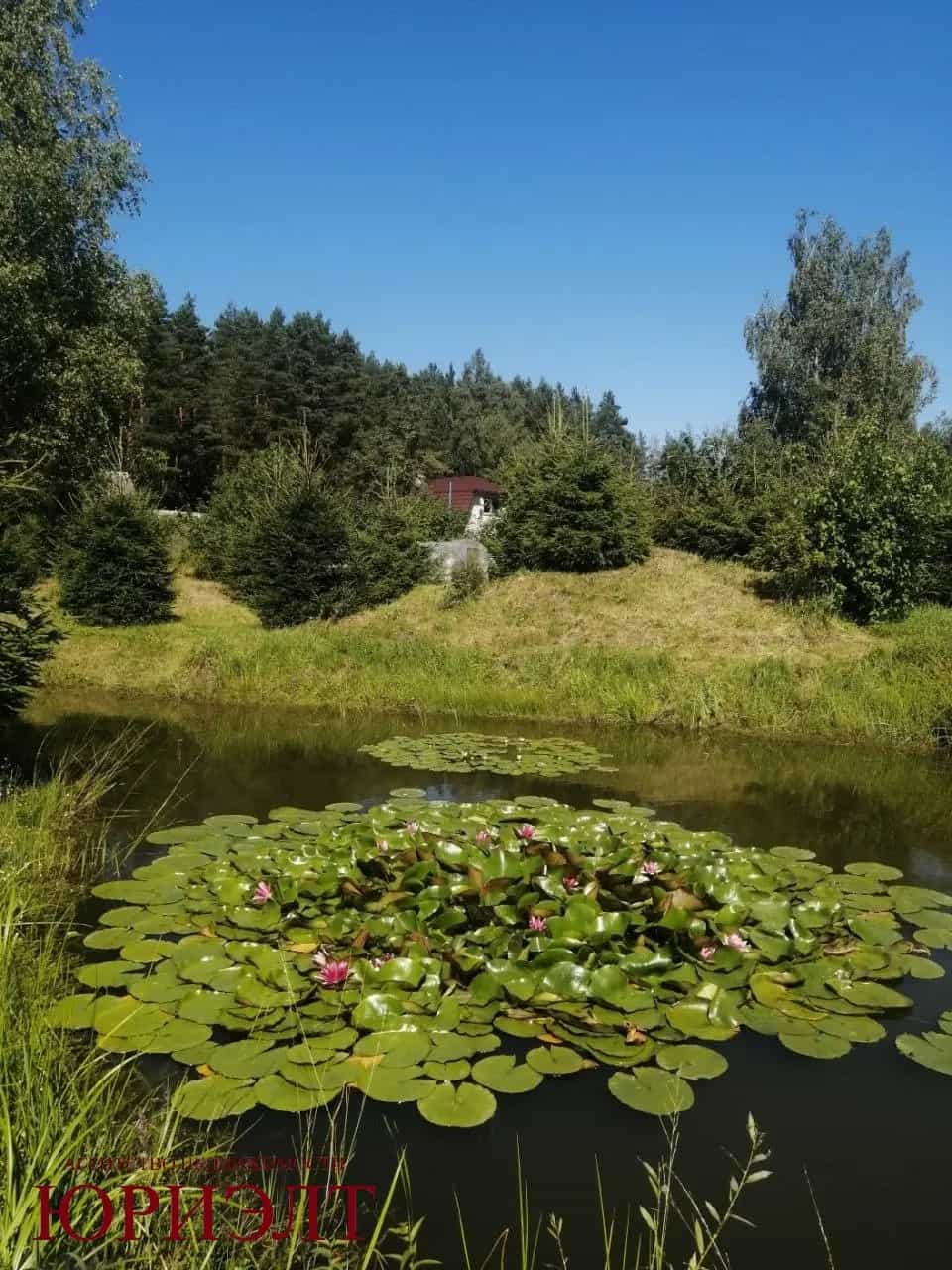 Беларусь, Витебский район, Летчанский сельсовет, СТ Вишнёвый Сад, 98, фото 6