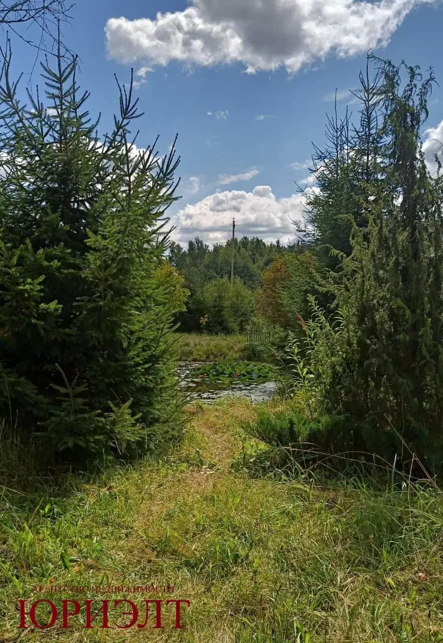 Беларусь, Витебский район, Летчанский сельсовет, СТ Вишнёвый Сад, 98, фото 10