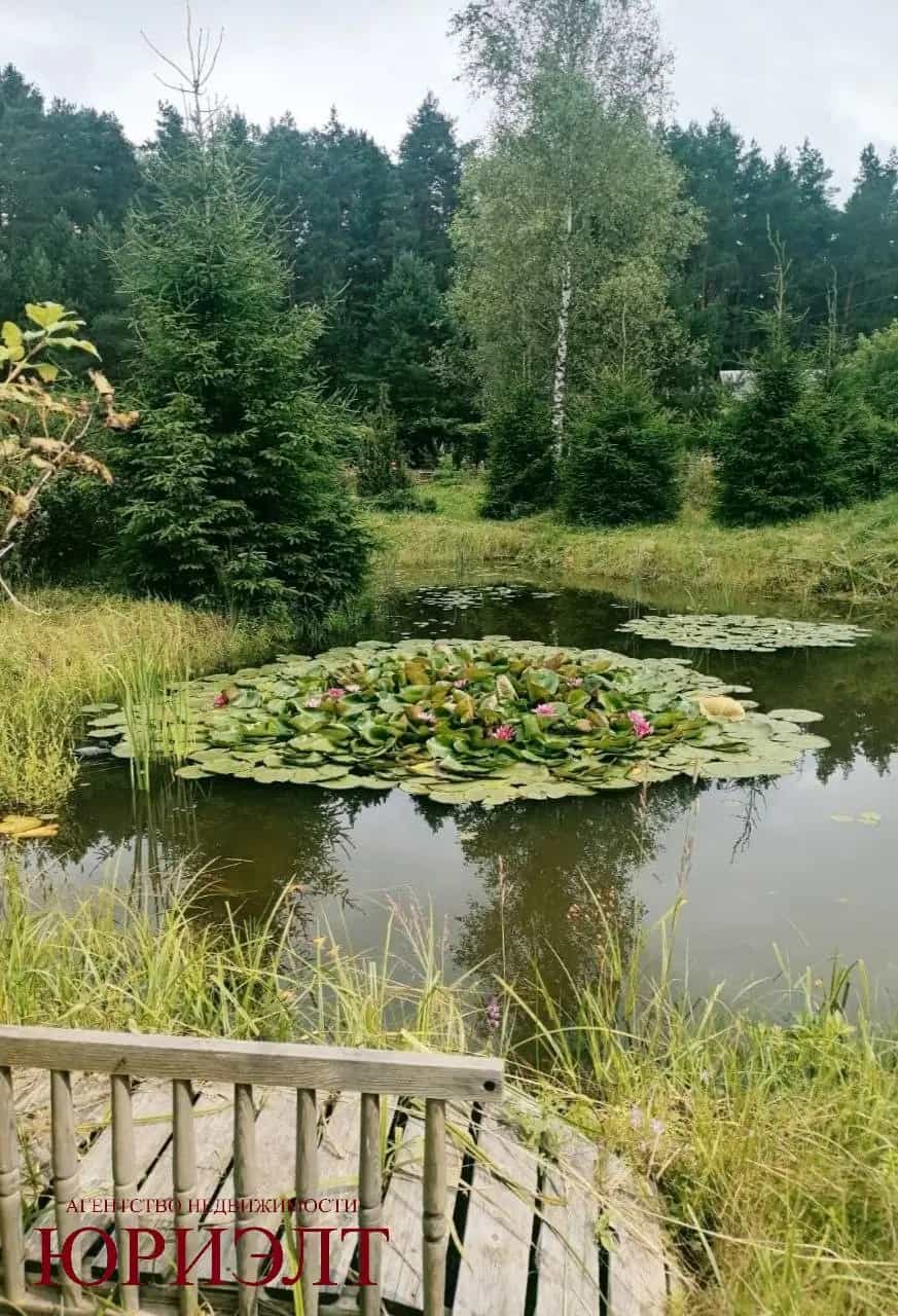 Беларусь, Витебский район, Летчанский сельсовет, СТ Вишнёвый Сад, 98, фото 14