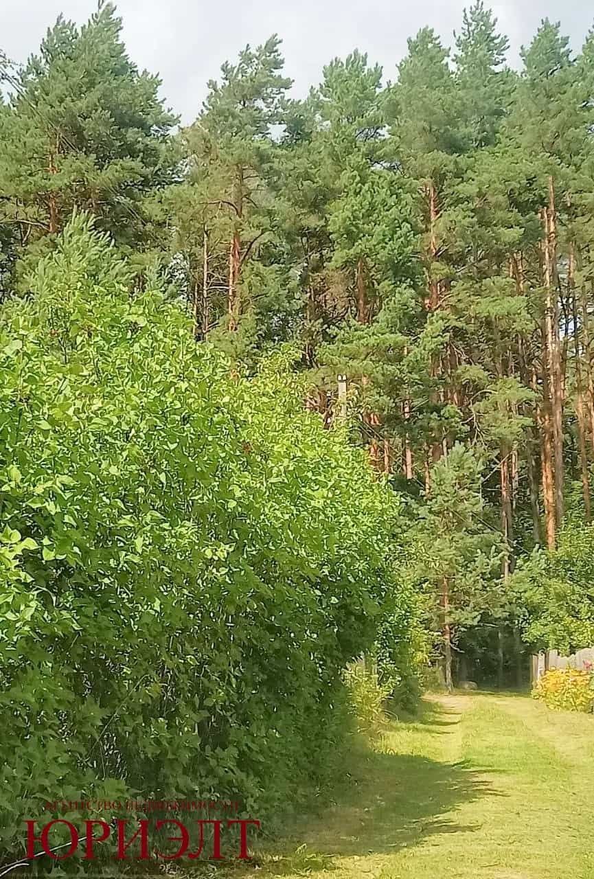 Беларусь, Витебский район, Летчанский сельсовет, СТ Вишнёвый Сад, 98, фото 17