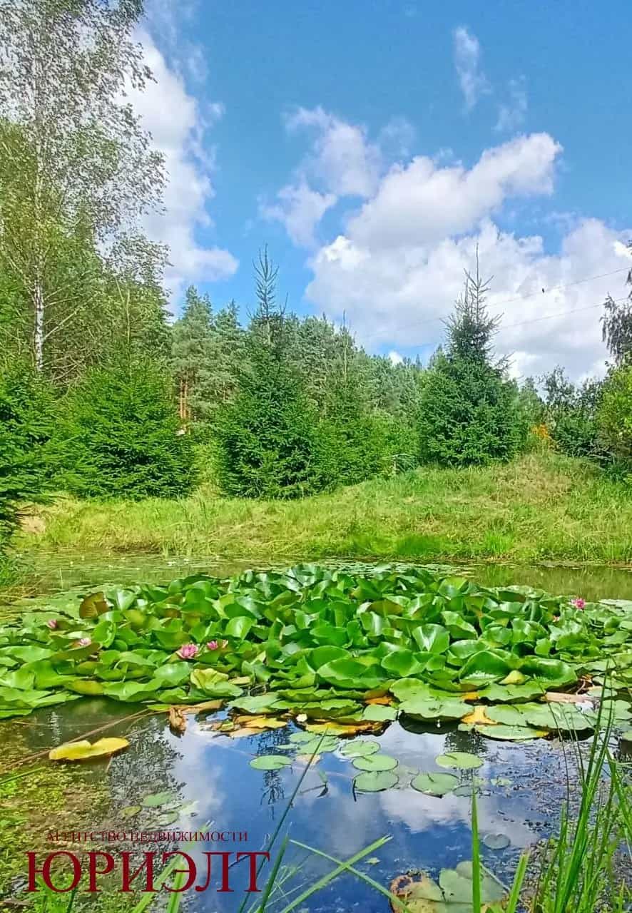Беларусь, Витебский район, Летчанский сельсовет, СТ Вишнёвый Сад, 98, фото 19