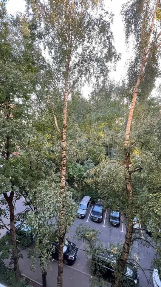 Россия, Москва, Литовский бульвар, 3к2, фото 30