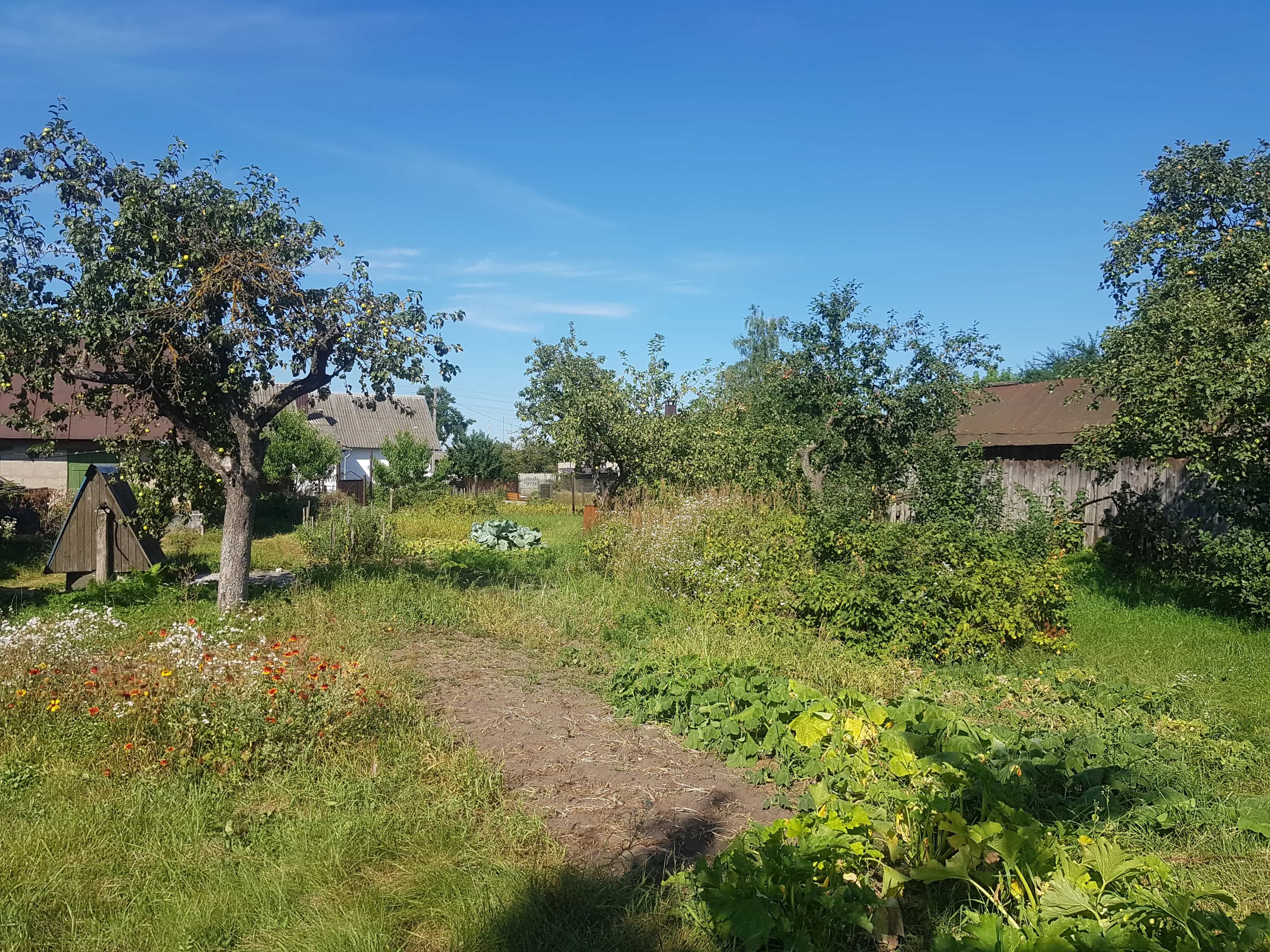 Беларусь, Гродненская область, Слоним, улица Гагарина, 78, фото 10