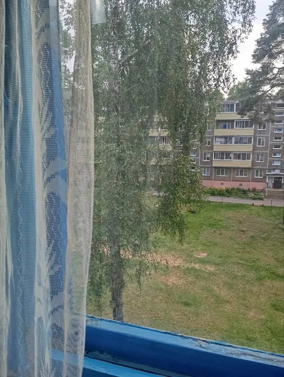 Беларусь, Витебская область, Полоцк, микрорайон Боровуха-3, улица Вологина, 262, фото 8