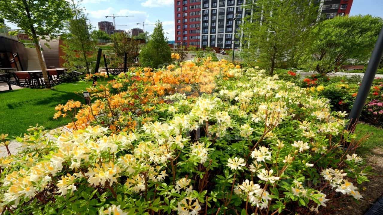 Россия, Москва, улица Академика Королёва, 21, фото 24