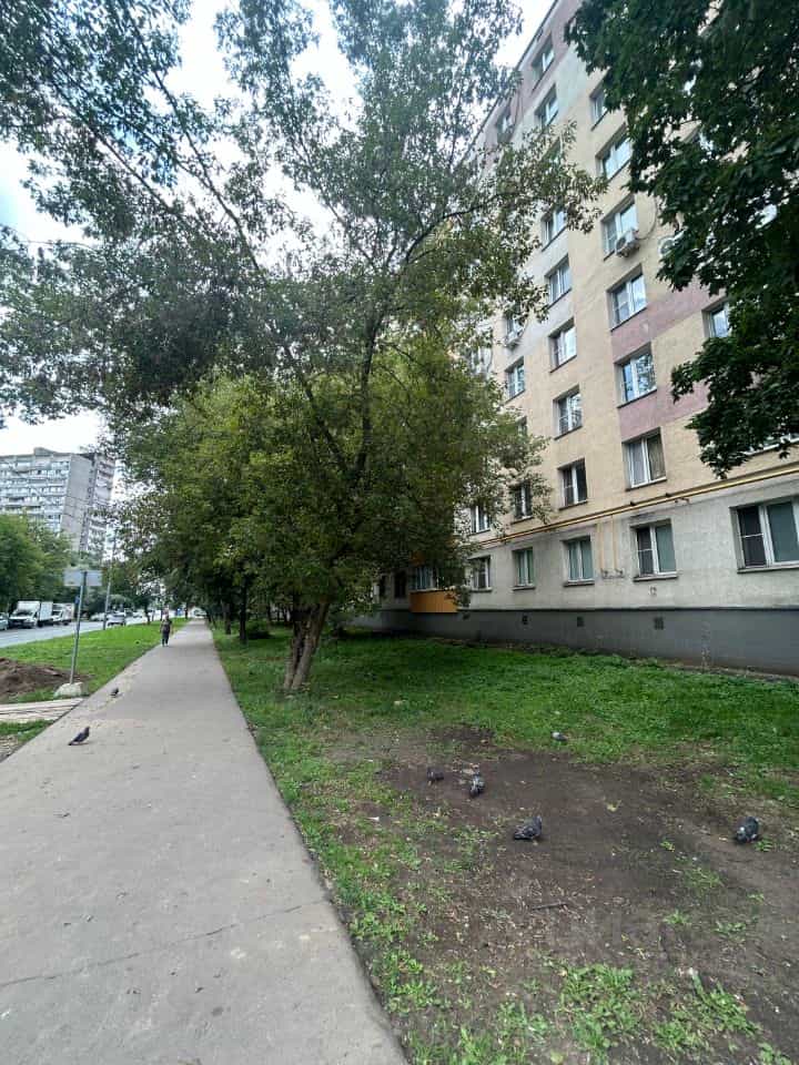 Россия, Москва, Ферганский проезд, 12, фото 19