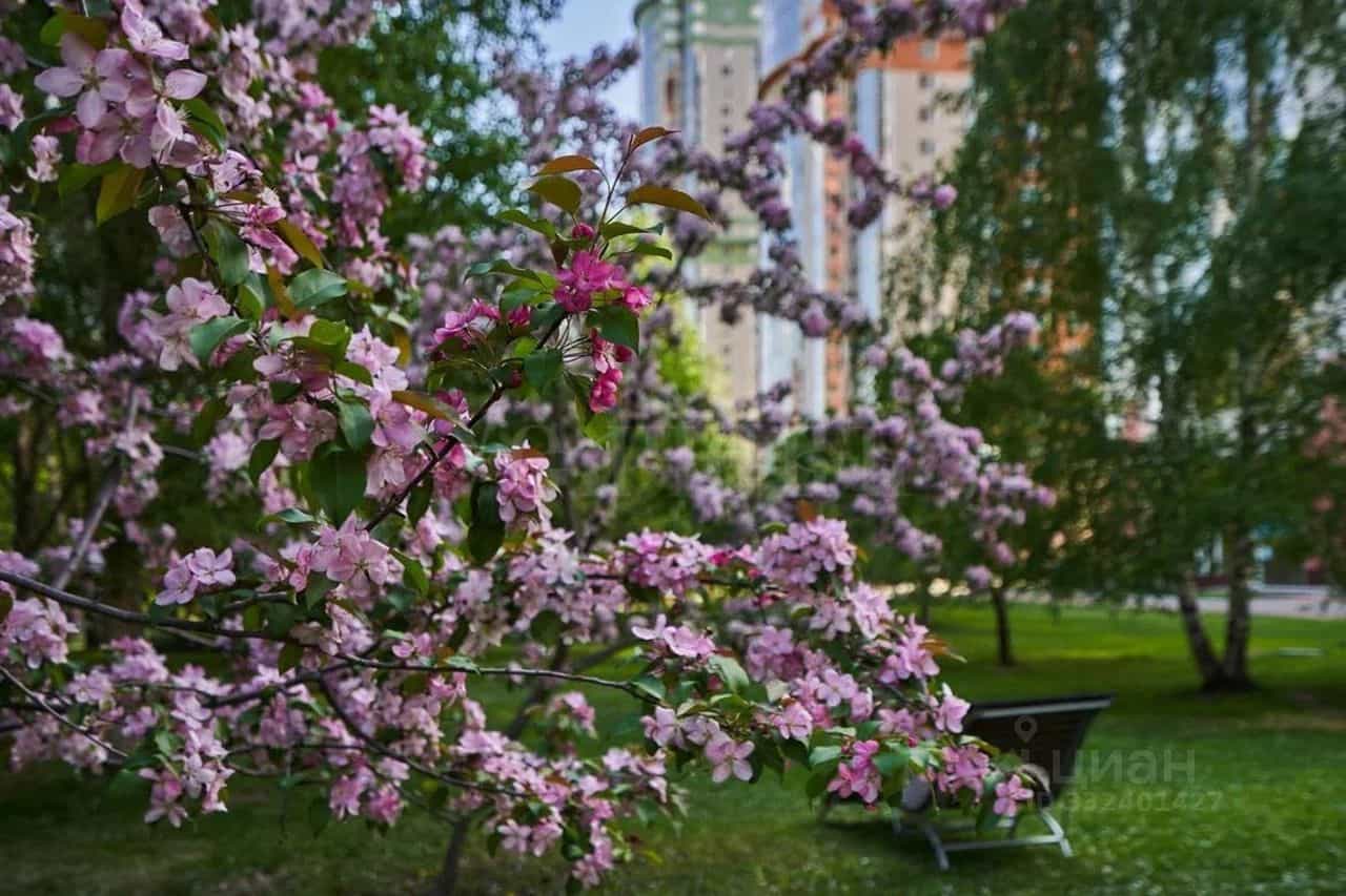 Россия, Москва, проспект Вернадского, 94к4, фото 15