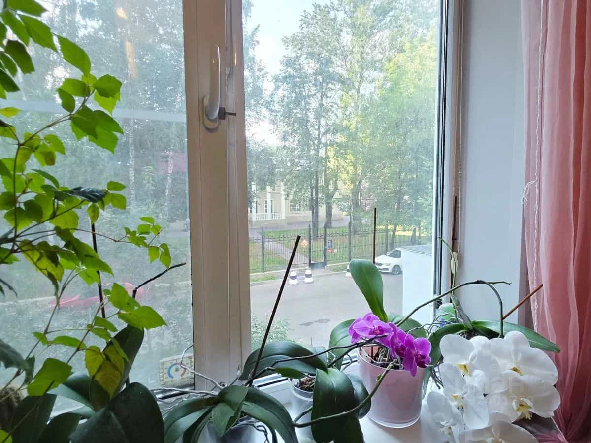 Россия, Москва, улица Космонавта Волкова, 31к1, фото 6