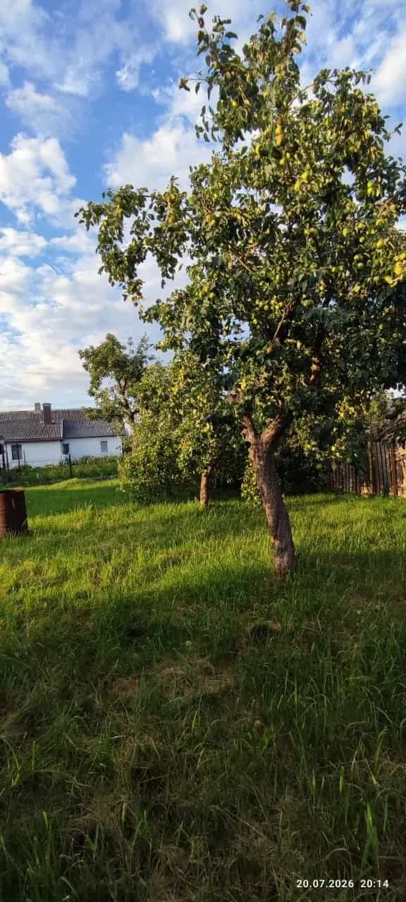 Беларусь, Гродненская область, Слоним, улица Гагарина, 78, фото 19