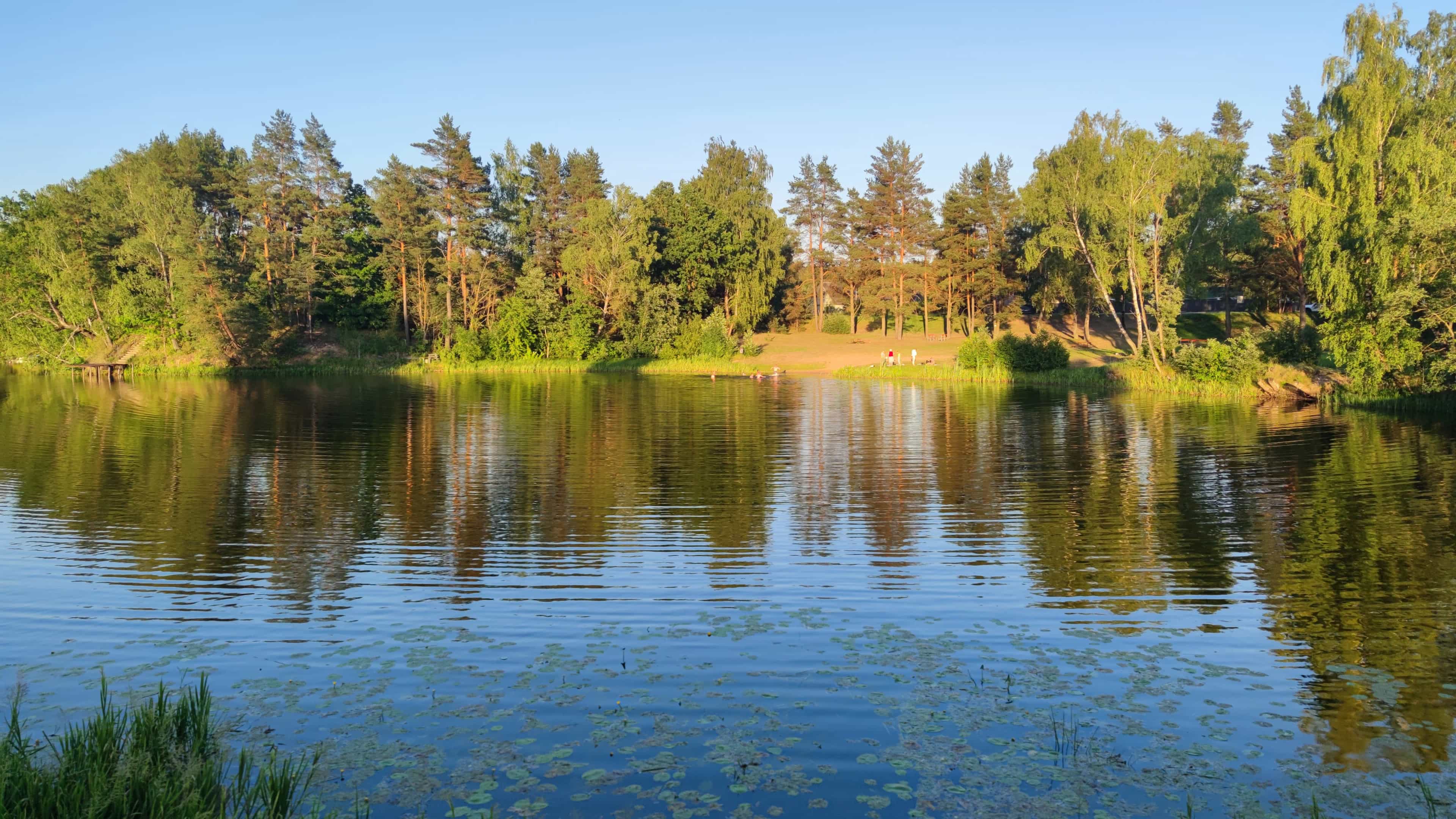 Беларусь, Гродненская область, Островецкий район, Михалишковский сельсовет, деревня Ольховка, Советская улица, 15, фото 4