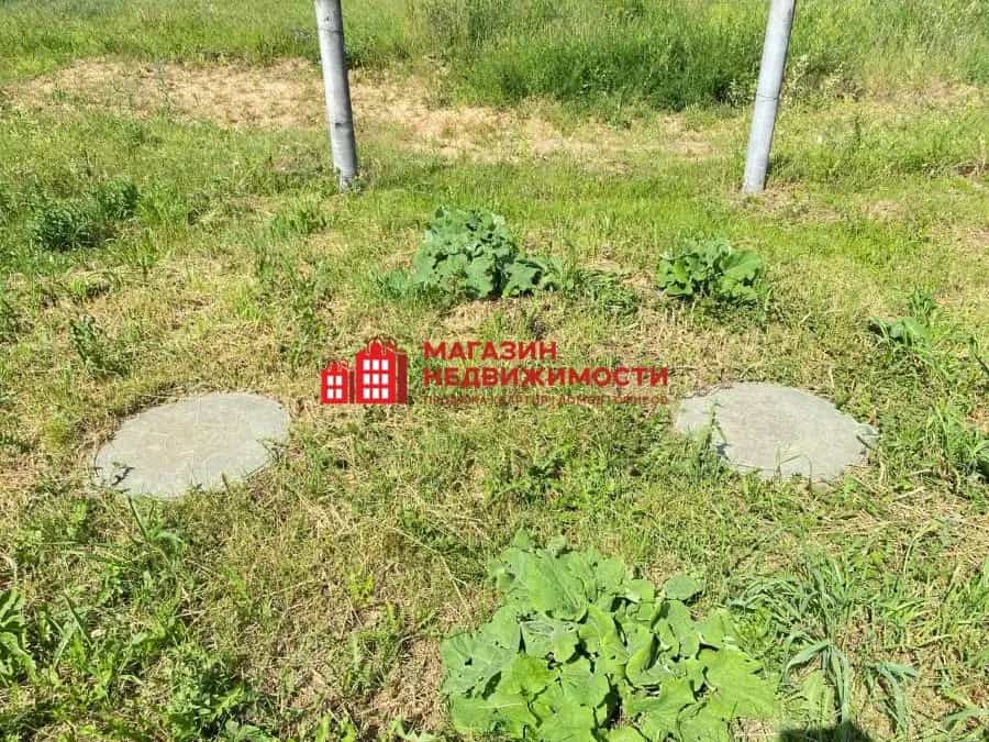 Беларусь, Гродненский район, Путришковский сельсовет, 14, фото 20