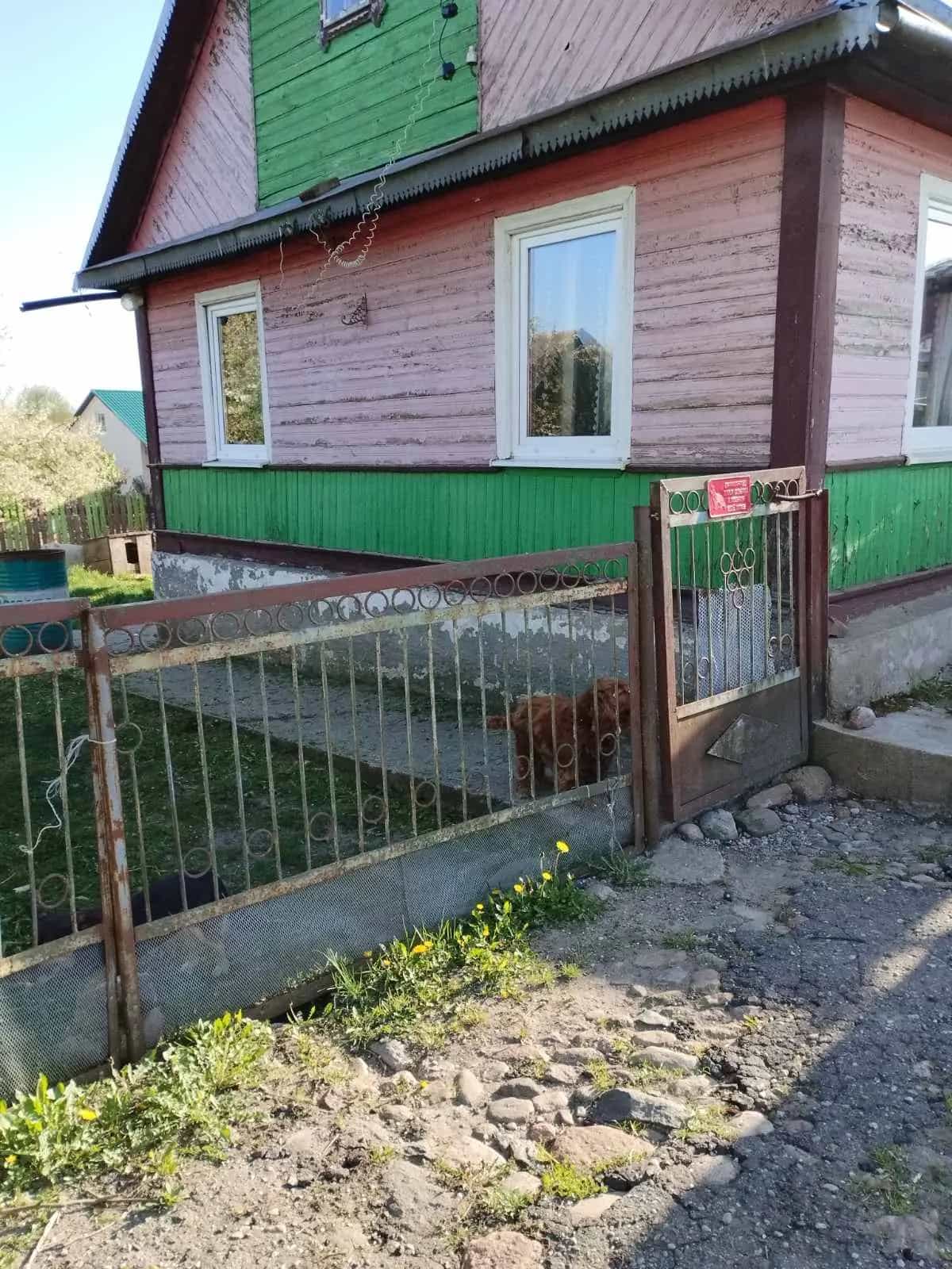 Беларусь, Гродненский район, агрогородок Одельск, Первомайская улица, 6, фото 2