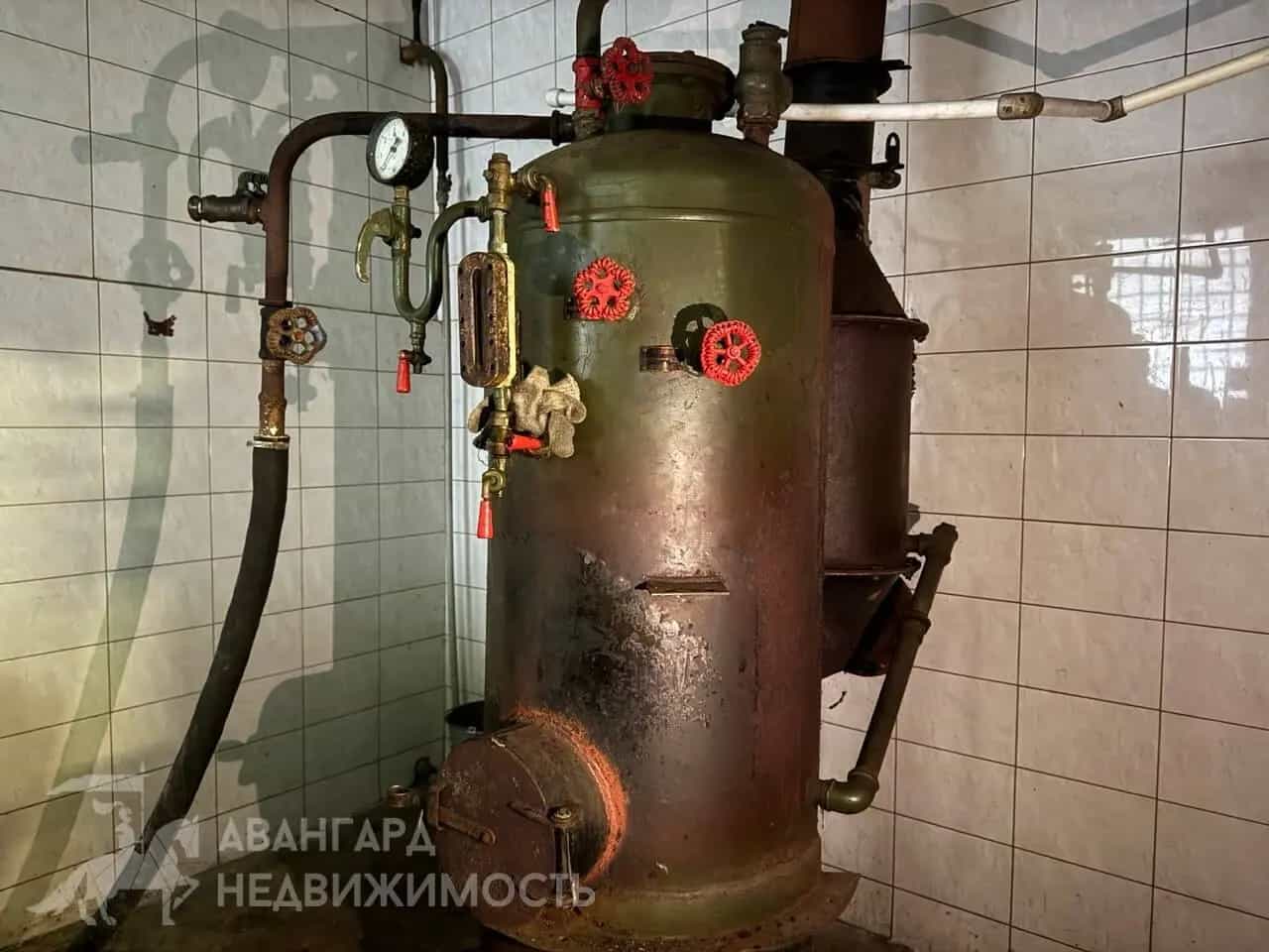 Беларусь, Минская область, Логойский район, Плещеницкий сельсовет, городской посёлок Плещеницы, Октябрьская улица, 40, фото 10