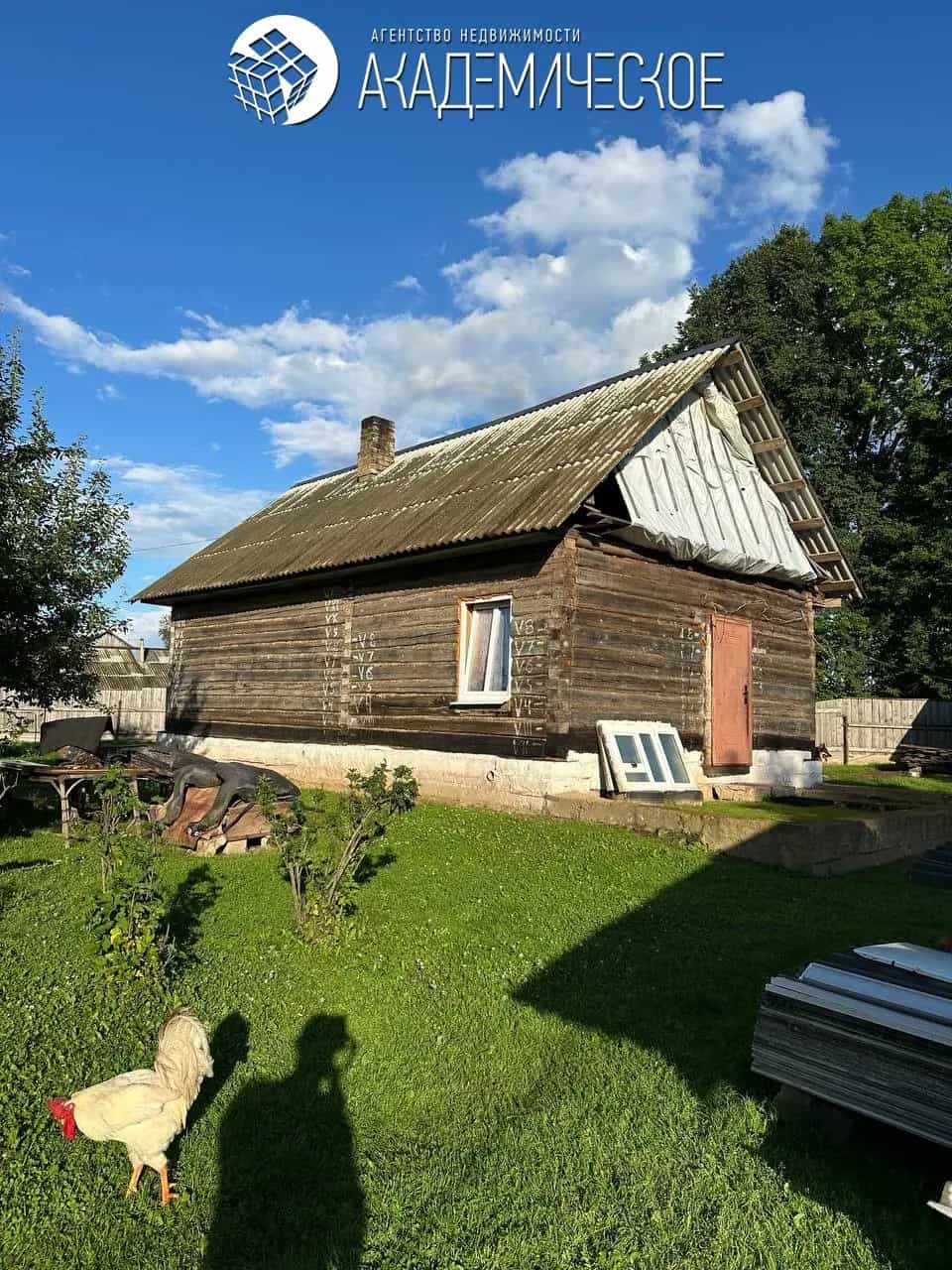 Беларусь, Минская область, Крупский сельсовет, агрогородок Ротань, Подлесная улица, 4, фото 4