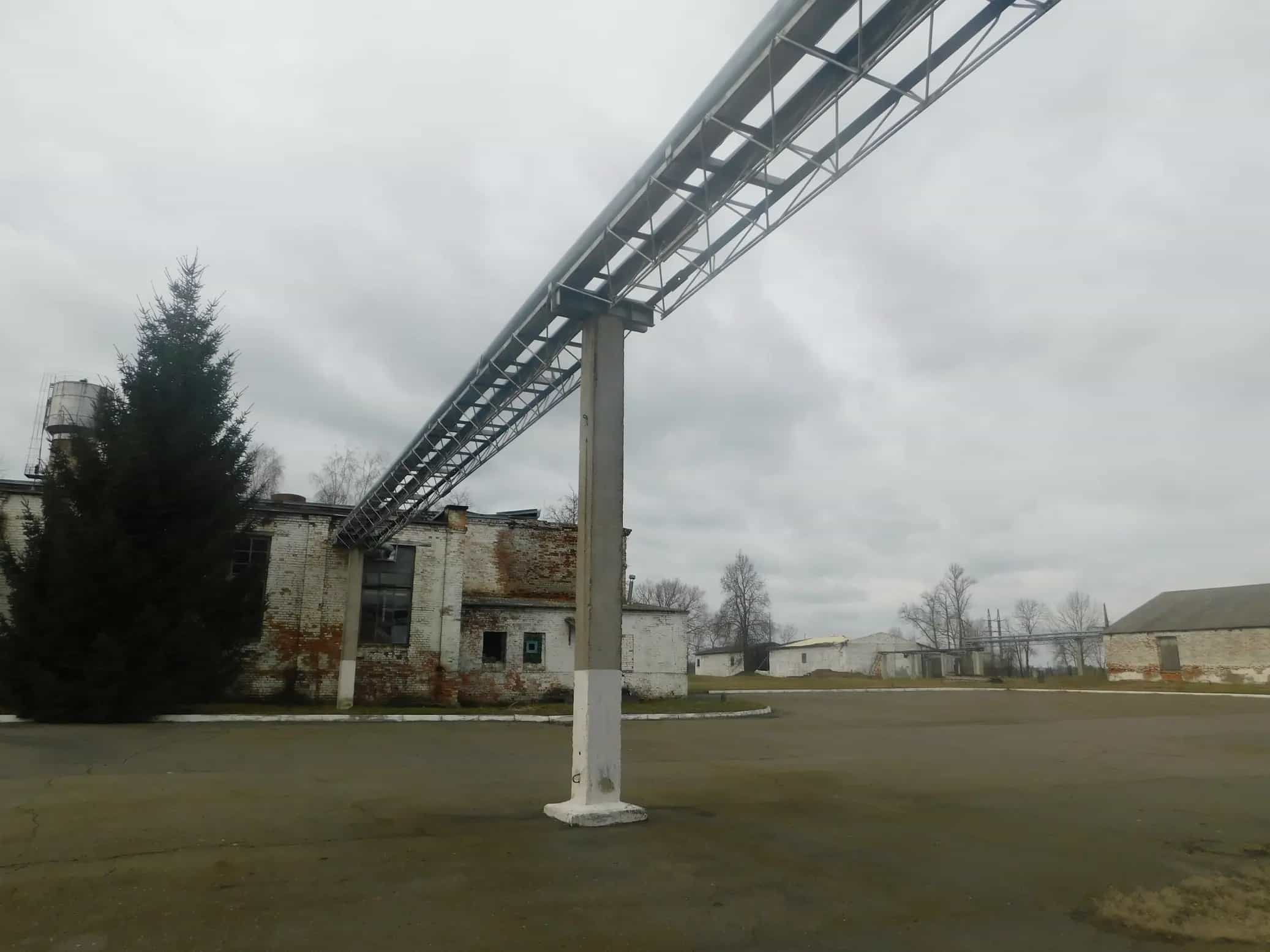 Беларусь, Гомельская область, Жлобинский район, агрогородок Красный Берег, Школьная улица, 5, фото 6