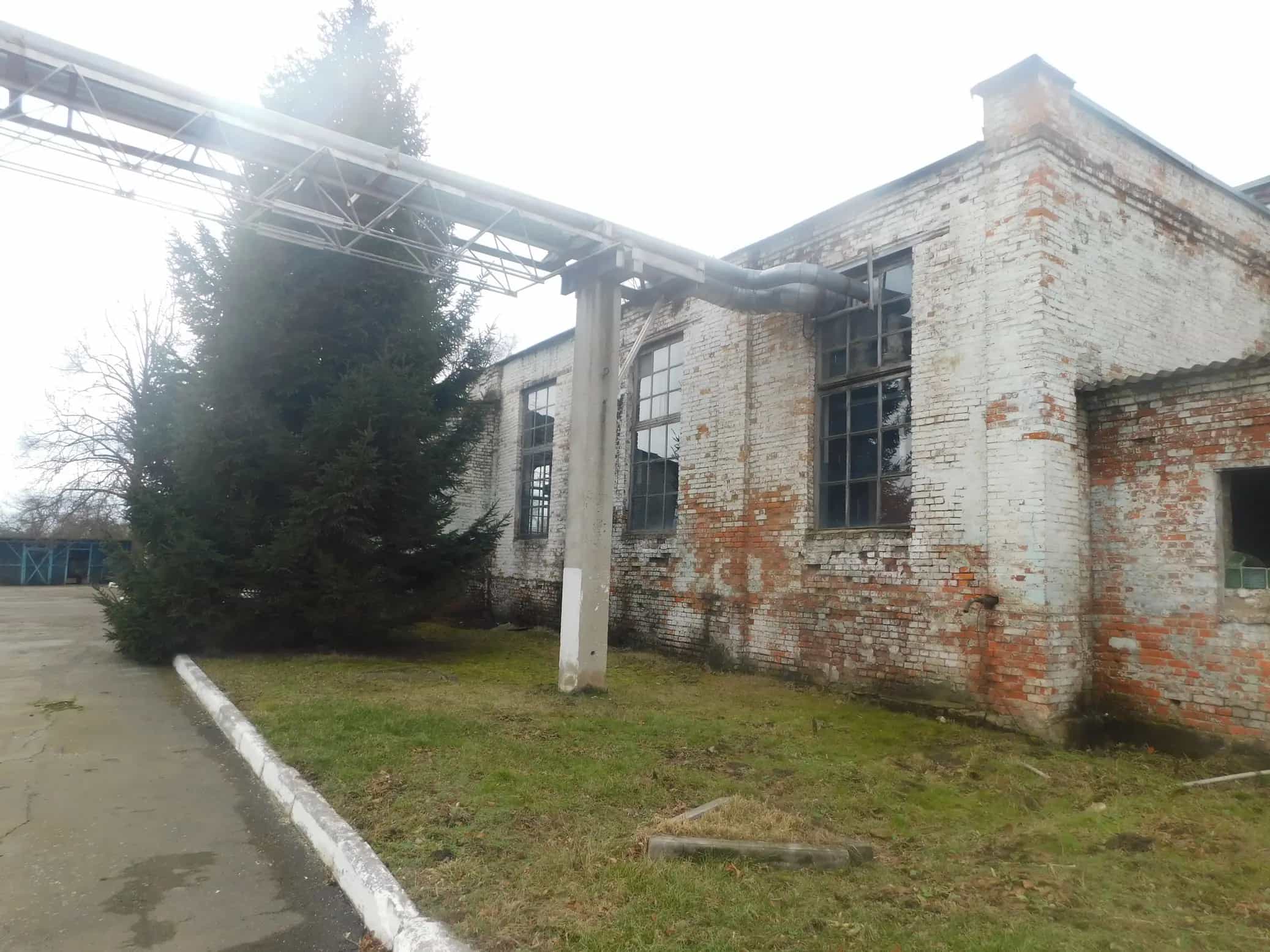 Беларусь, Гомельская область, Жлобинский район, агрогородок Красный Берег, Школьная улица, 5, фото 17