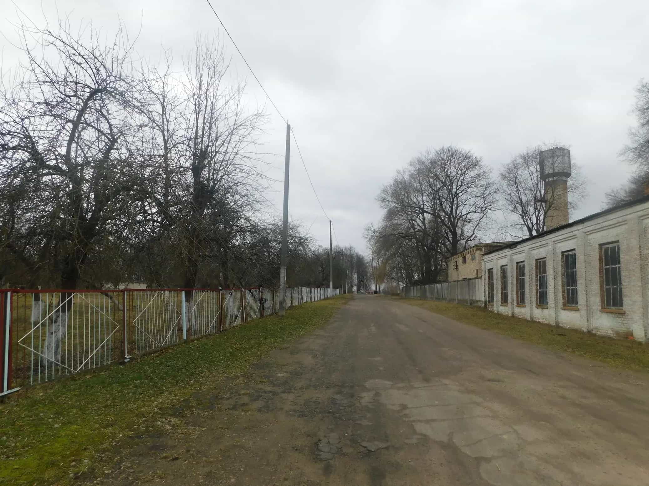 Беларусь, Гомельская область, Жлобинский район, агрогородок Красный Берег, Школьная улица, 5, фото 18